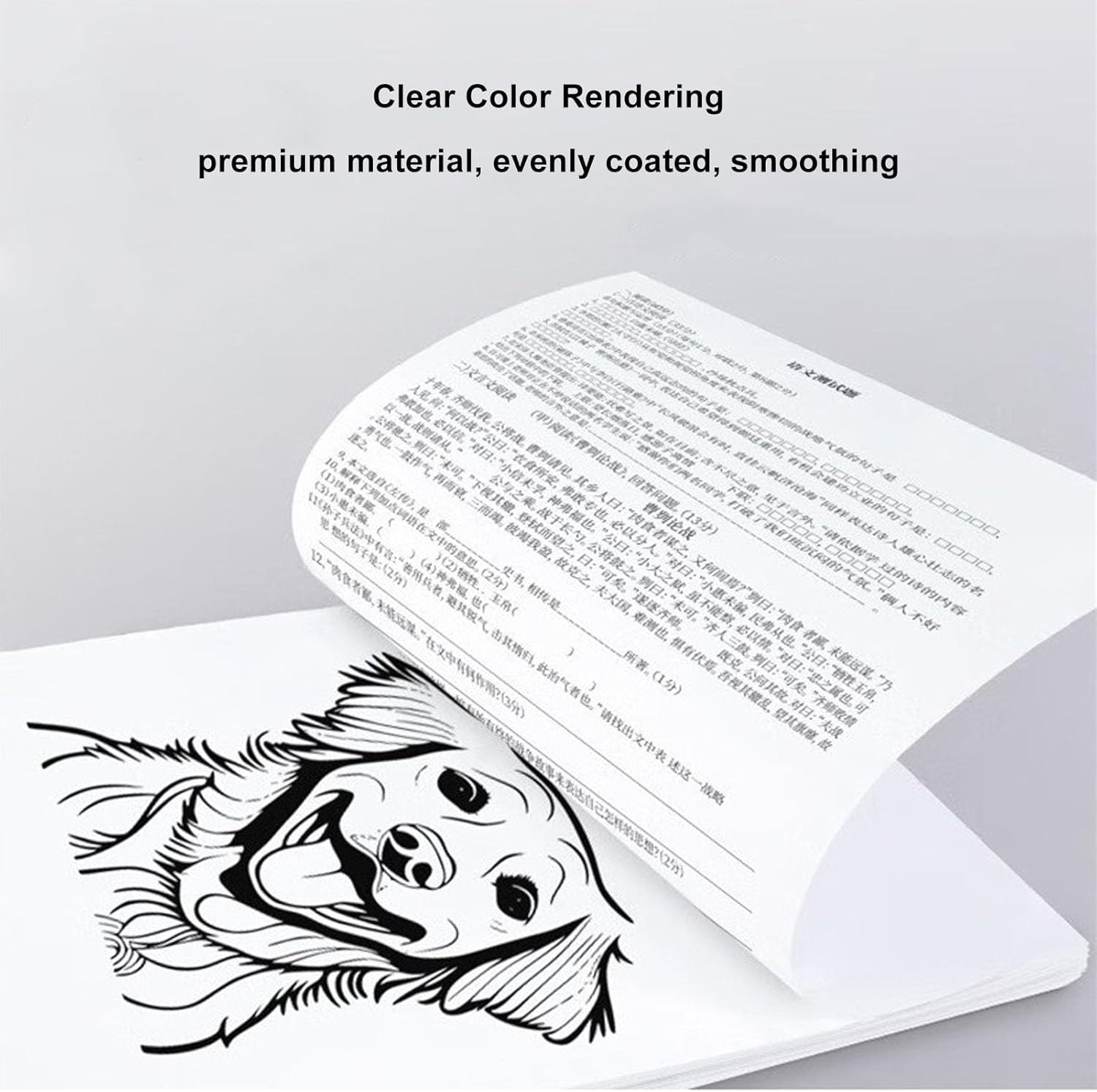 A4 Thermal Printer Paper Roll, 26.2Ft Long, 8.3In Wide, 1.2In Core