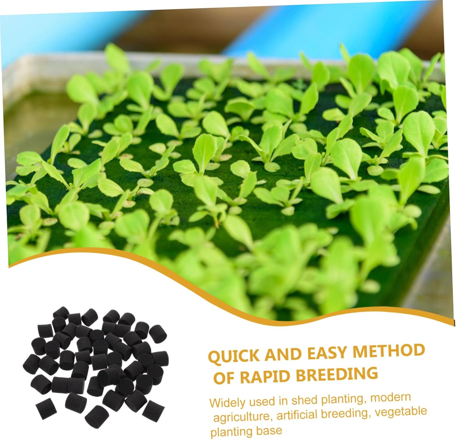 100Pcs Hydroponic Vegetable Planting Sponges for Soilless Cultivation Black Seedling Blocks for Indoor Gardening and Balcony Use image number 5