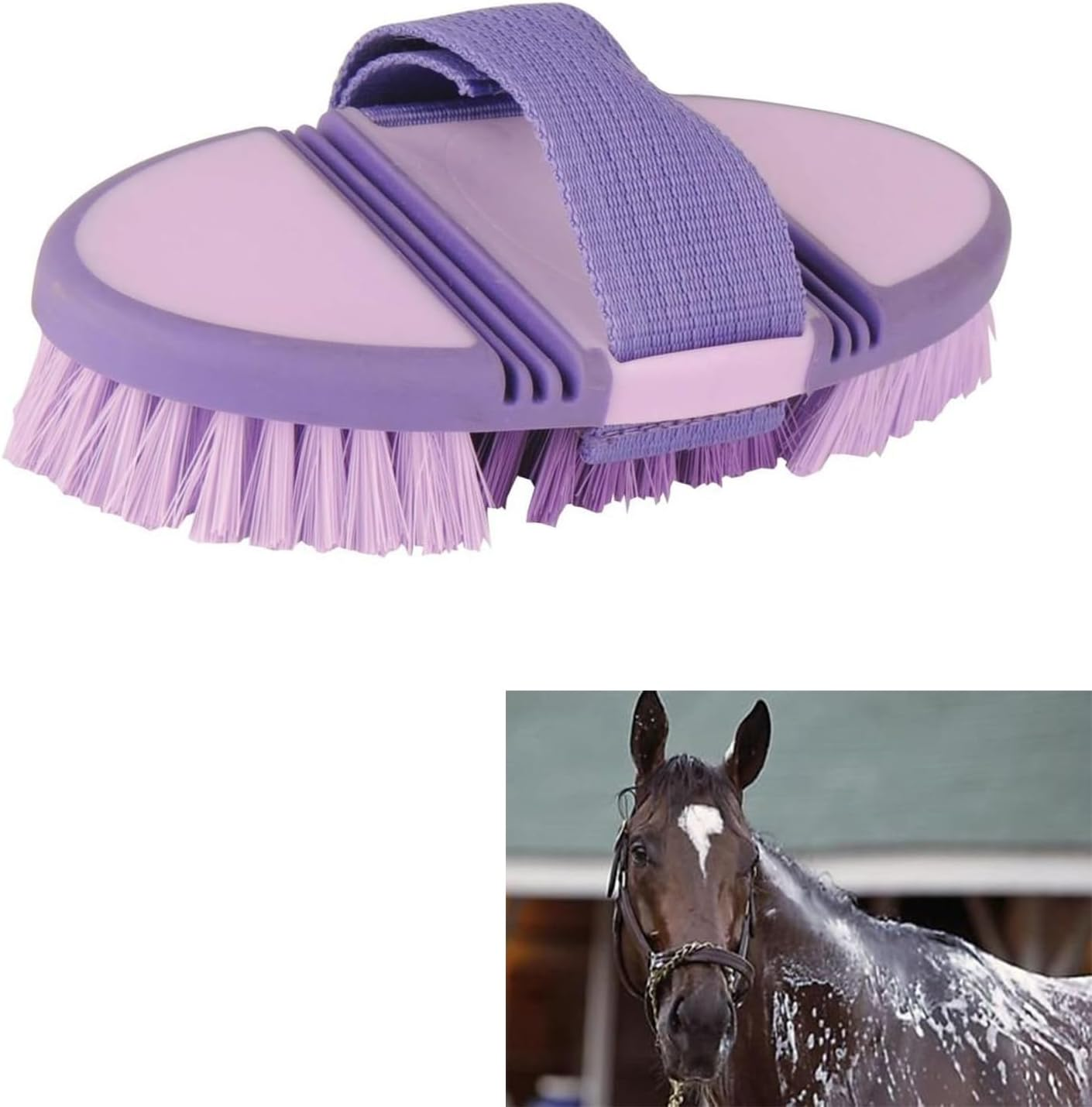 Taicols Horse Brush, 1 Pcs Horse Hair Brush, Horse Grooming Brush, Bendable Brush, Flexible and Bendable Brush, Soft Horse Cleaning Brush, Horse Grooming Tool for Horses, Horse Hair Cleaning Brush (Blue)