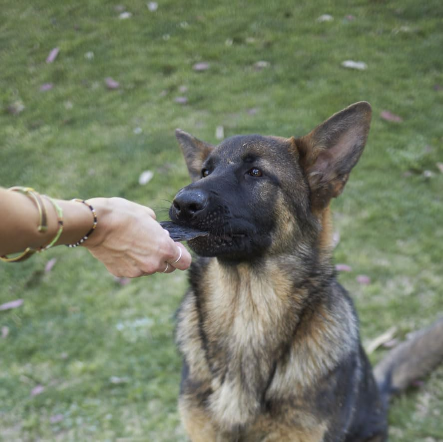 Kazoo Prime Cuts Kangaroo Liver Chips - 100G image number 2