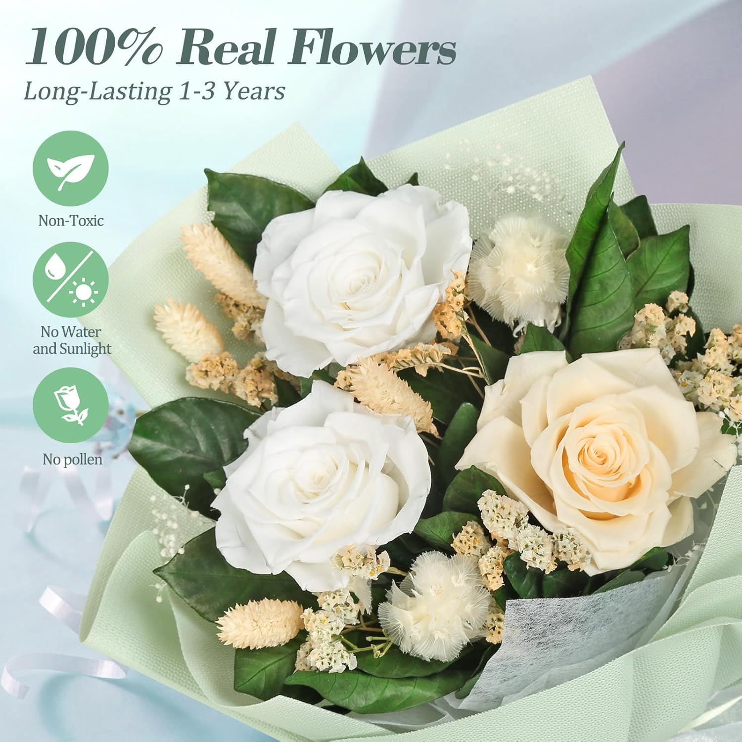 Bloom&lsquo;S Diary Preserved Flower Bouquet, Long Lasting Forever Roses Bouquet, Gift, Valentine'S Day, Mother'S Day, Anniversary, Birthday image number 1