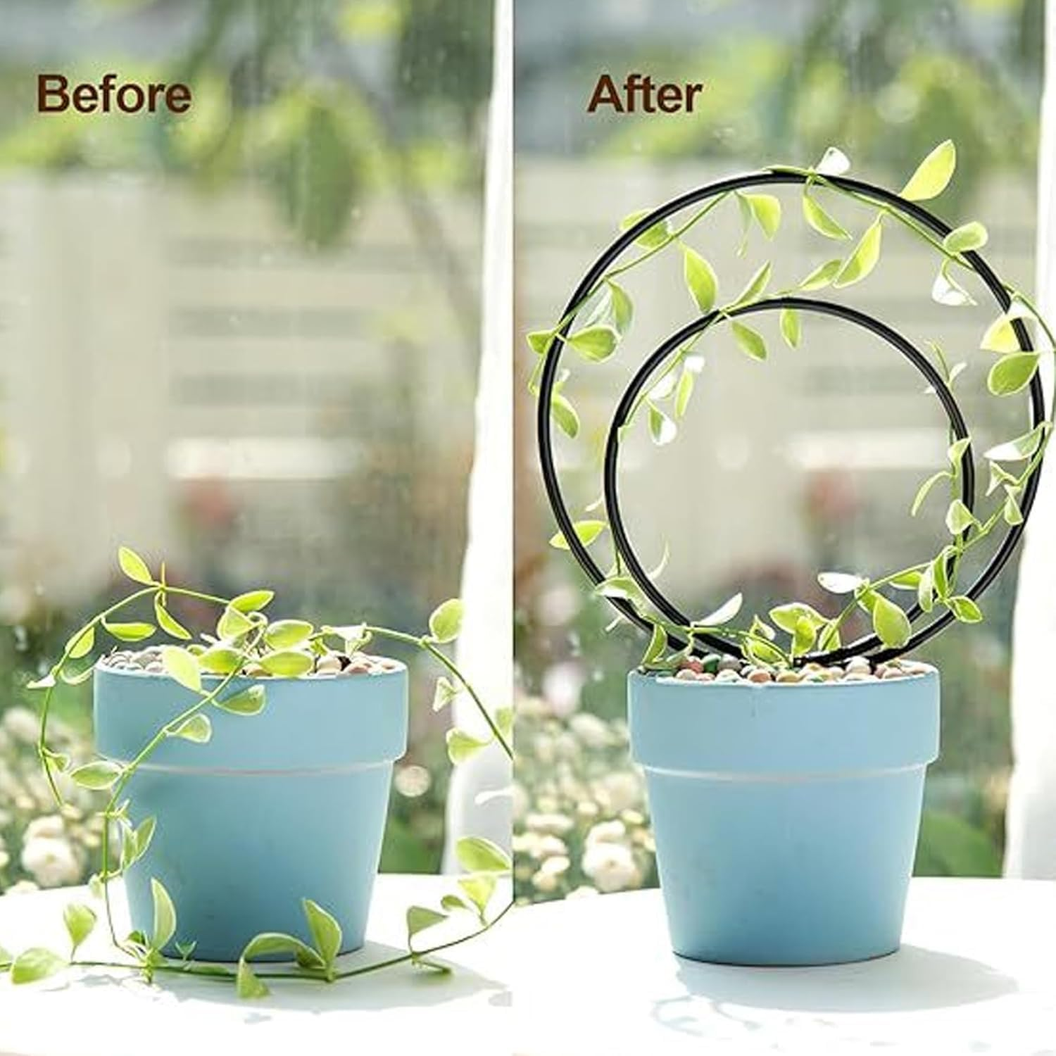 Round Plant Trellis Support Stakes, 3 Pieces, Black, Multiple Sizes for Indoor Climbing Plants,Unique round Hoya Trellis, Different Size Houseplant Trellis for Indoor Climbing Plant,Black image number 6