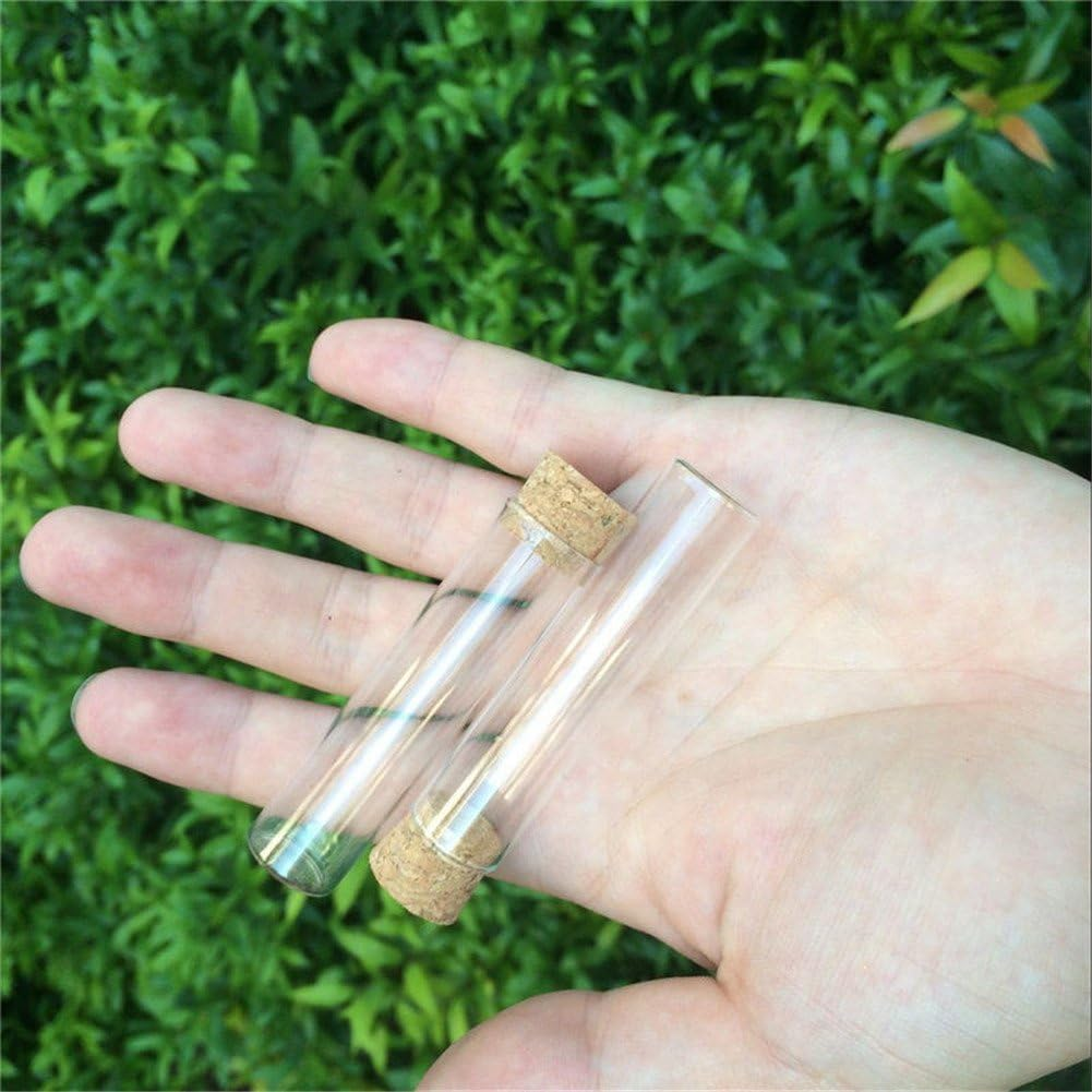 50Pcs 6Ml Mini Clear Glass Bottles with Cork Small Tiny Vials Jars Containers Cute Wishing Bottle Mini Glass Jars Glass Test Tube (16X65X14Mm)&hellip; image number 4