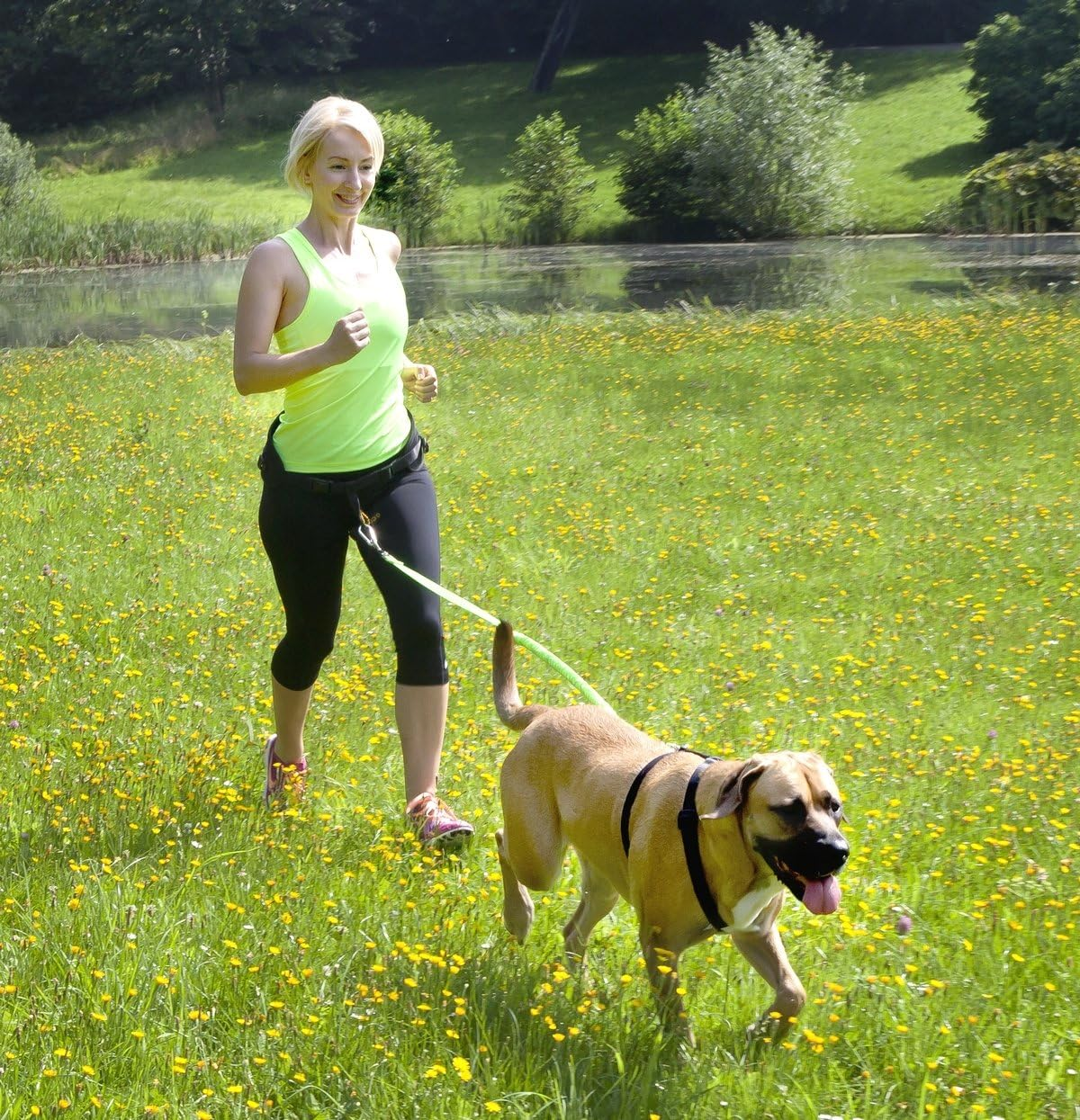 Dingo Universal Shock-Absorber Canicross Leash with 2 Hooks for Running, Jogging, Training Sport with Dog, Handsfree Lead Pink 14697 image number 2