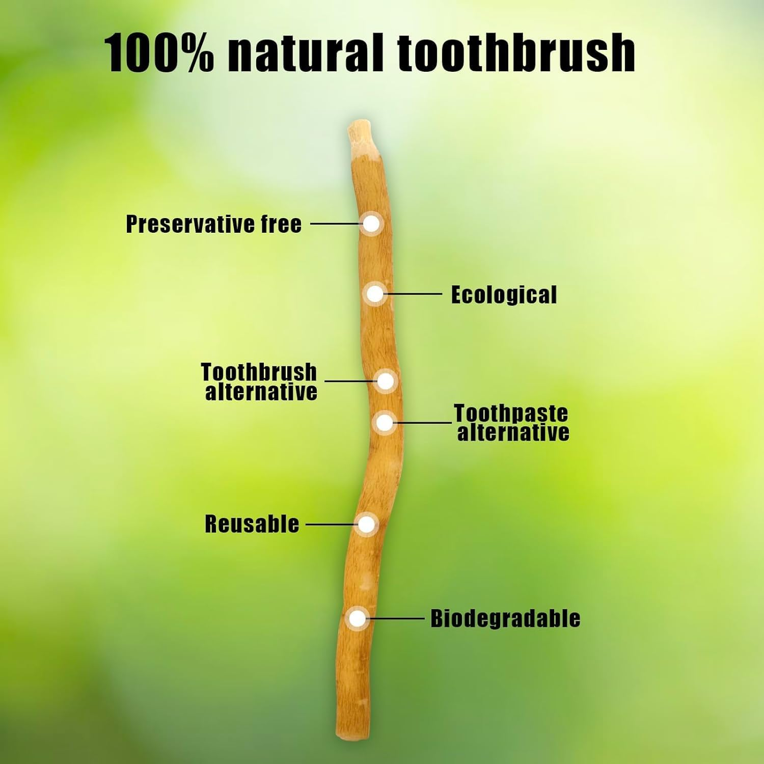 12 Pack Natural Miswak Toothbrush - Vacuum Sealed Traditional Toothbrush Stick - for Healthy Teeths,Gums and Fresh Breath (Mint Flavor) image number 6