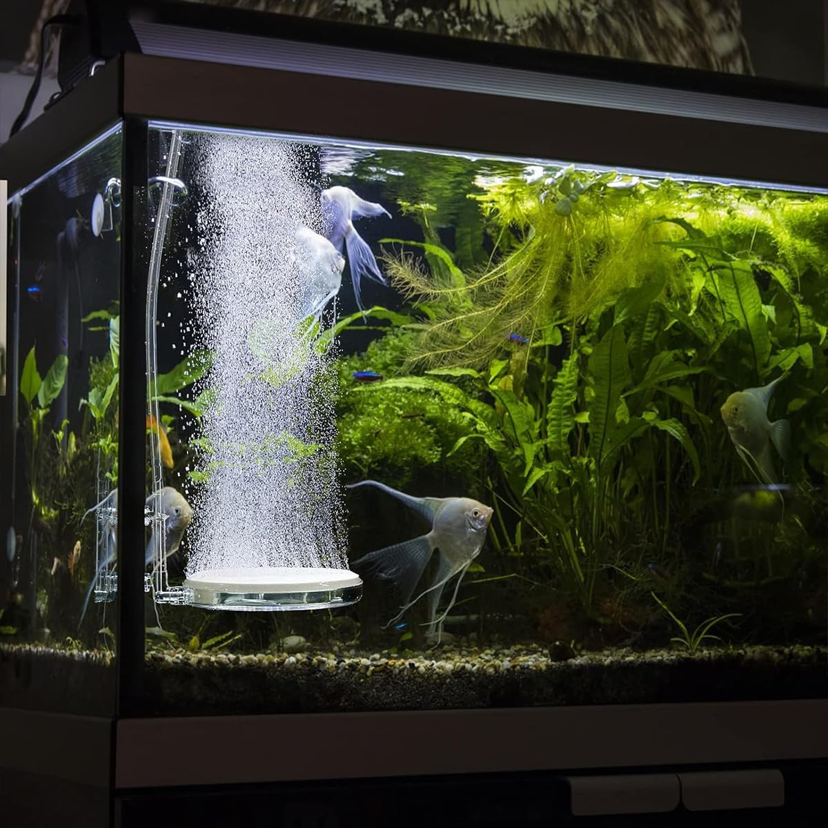 Aquarium Air Stone 6 Cm Fish Tank Nano Bubble Stone with Control Valve Quiet Super-High Dissolved Oxygen Diffuser Makes Super Tiny Bubbles for Fish Tank and Hydroponic (1 PCS) image number 3