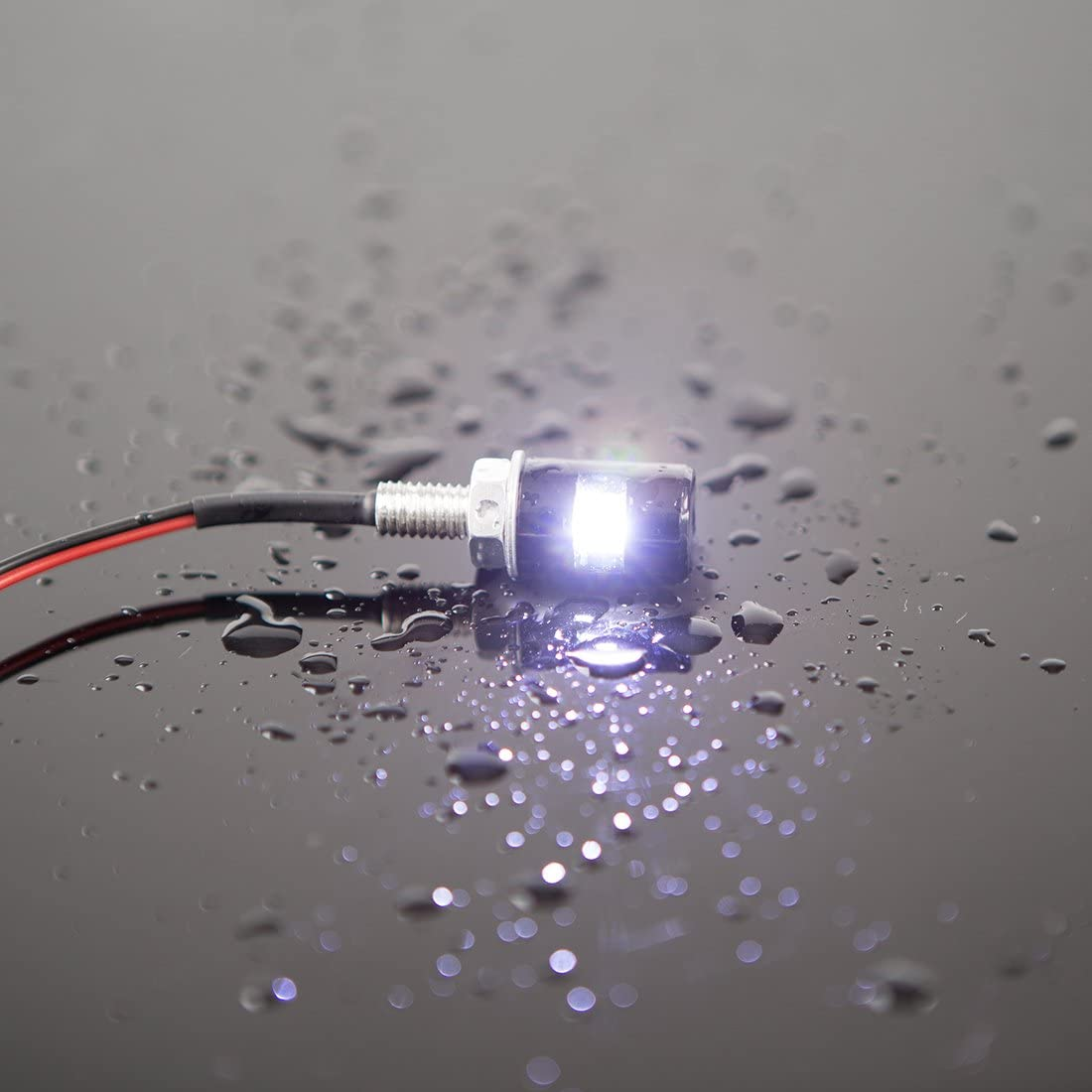 CZC AUTO 2PCS License Plate Light, License Tag Screw Bolt Lamp, 12V White LED Bulb, Waterproof/Rainproof, Black Aluminium Light Holder, Legal for Car Motorcycle Truck RV ATV Bike