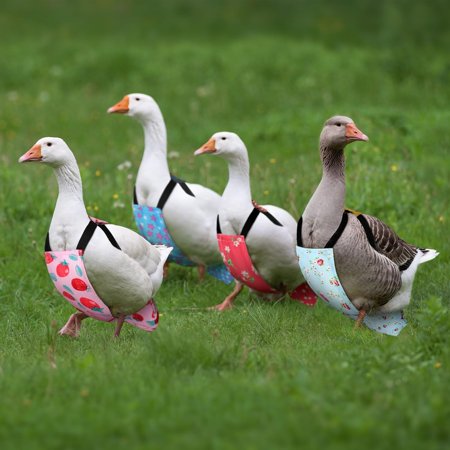 6 Pcs Chicken Diapers for Hens Rooster Ducks Reusable Washable Duck Diapers with Bow Tie for Ducklings Hens Goose Poultry Adjustable Clothes for Hen Rooster Chicken(Classic,L) image number 1