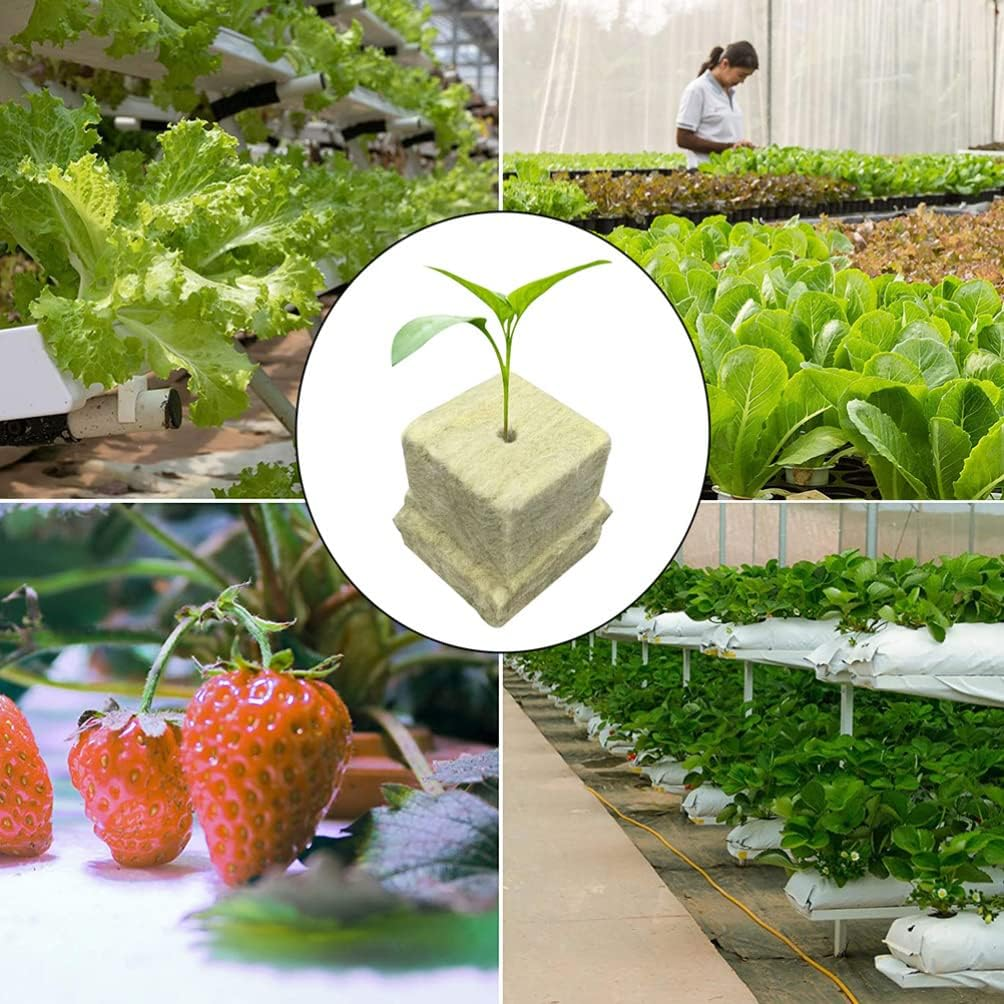 GANAZONO Cubes Plugs Cubes Plugs Cubes Plugs 100Pcs Hydroponic Cubes Garden Cubes Starter Plugs for Soilless Cultivation Hydroponic Hydroponic Cubes Plugs Garden Supplies