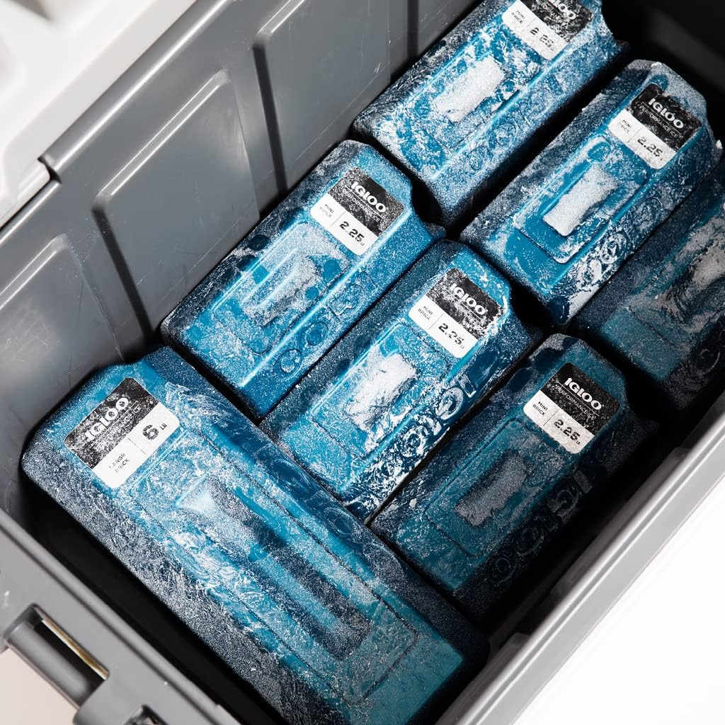 Igloo Performance Ice Blocks