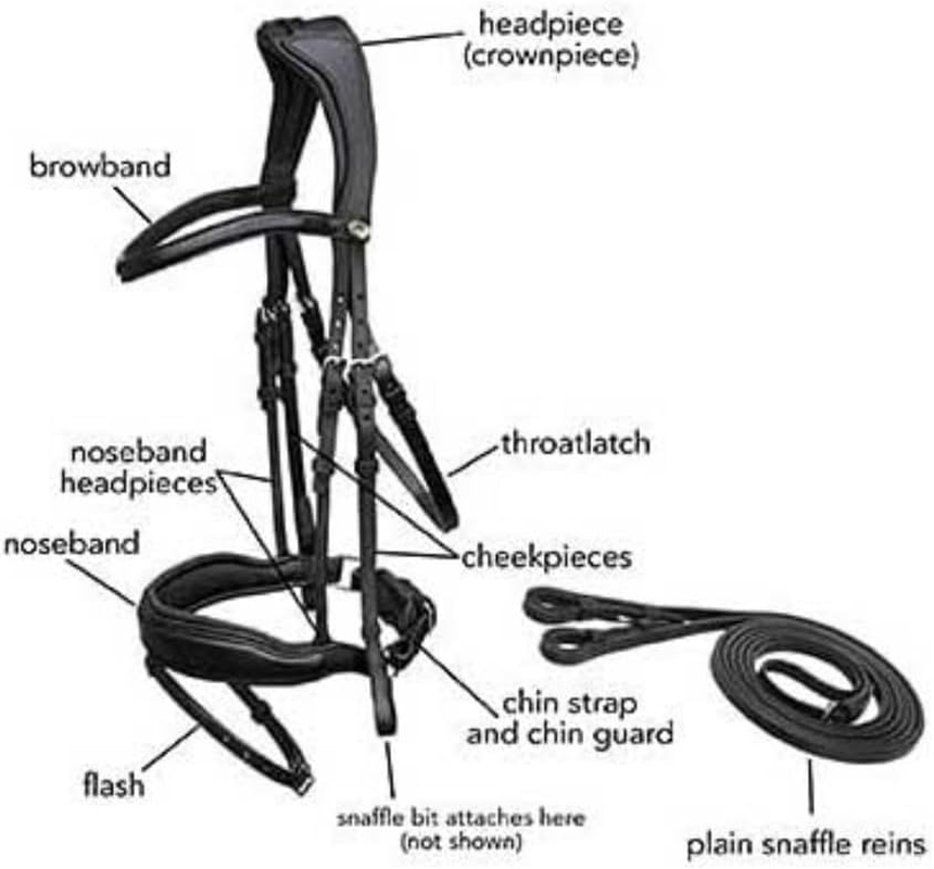 Nylon Halter for Horses,Large Size Black Sturdy Rope Halter Easy to Use,Optimal Horse Training Companion,Quick Change Design,With Adjustable Horse Reins,For Training and Riding Horse Tack Western