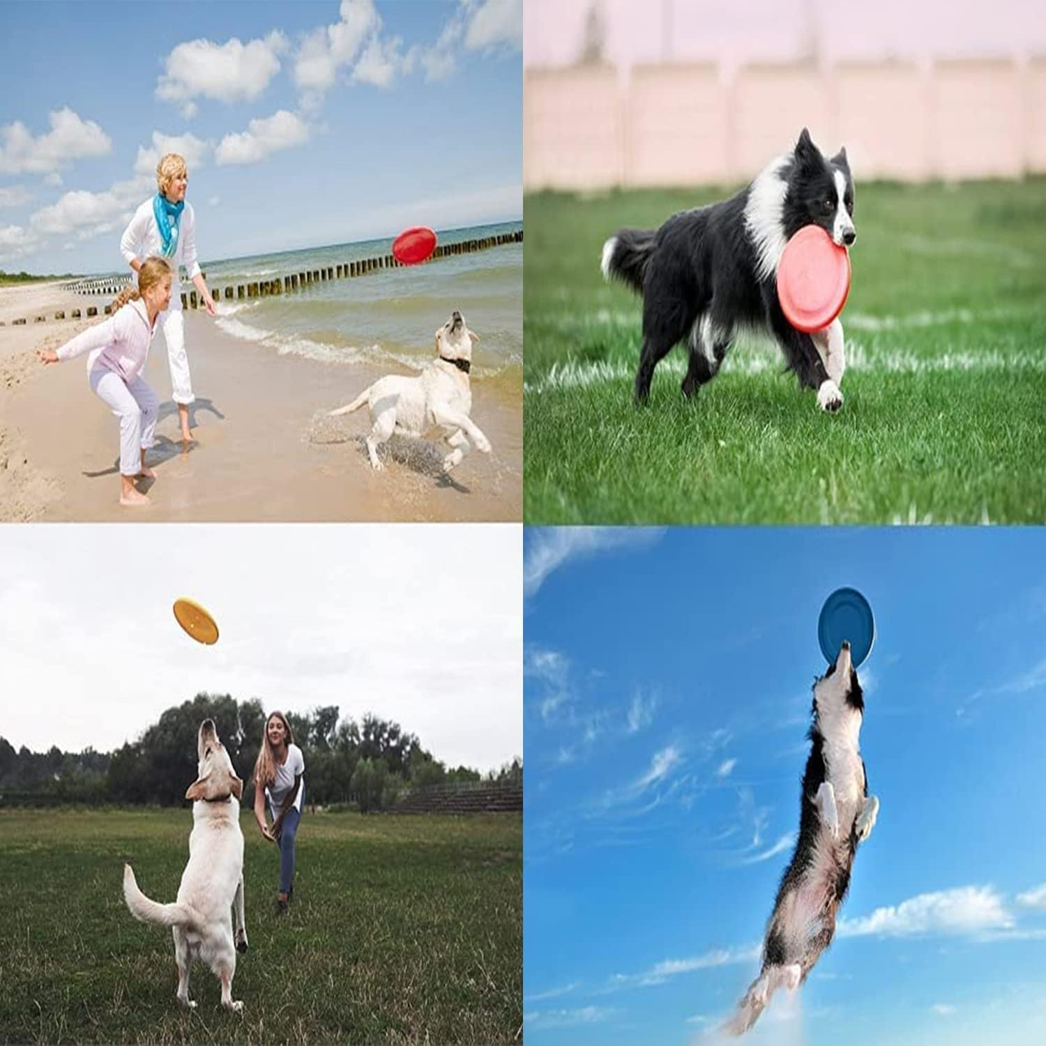 5Pcs Dog Frisbee Pet Interactive Training Toy - Bite Resistant Soft Silicone Flying Disc for Puppy Flyer Training - Dog Flying Disc Silicone Frisbee image number 1