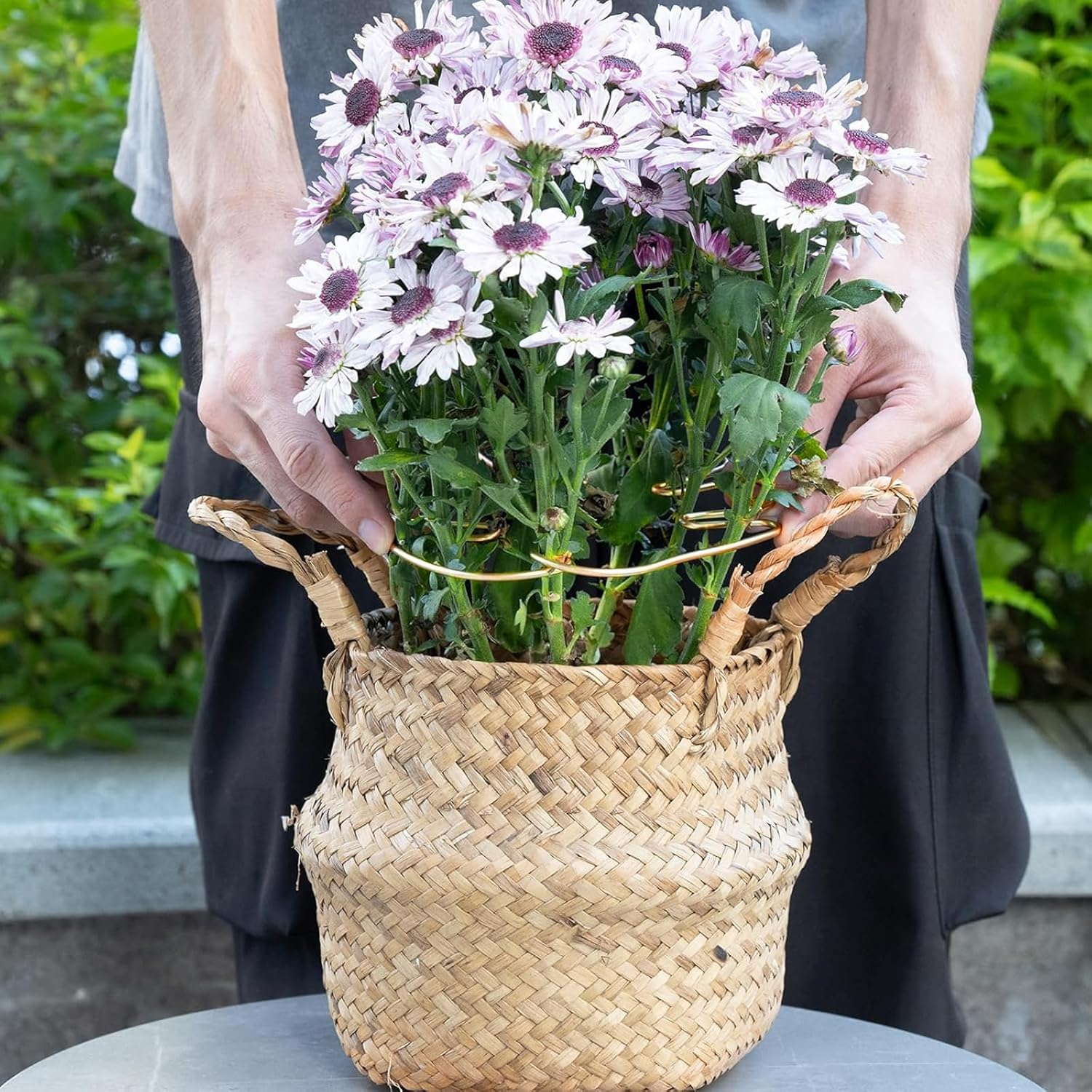 Zalizr 5 PCS Plant Stem Support, Metal Monstera Stabilizer Grapple Holder, Durable Turtle Shell Bamboo Support for Healthy Growth, Easy-To-Use Wear-Resistant Plant Stabilizer (Gold, 16X18 CM) image number 5