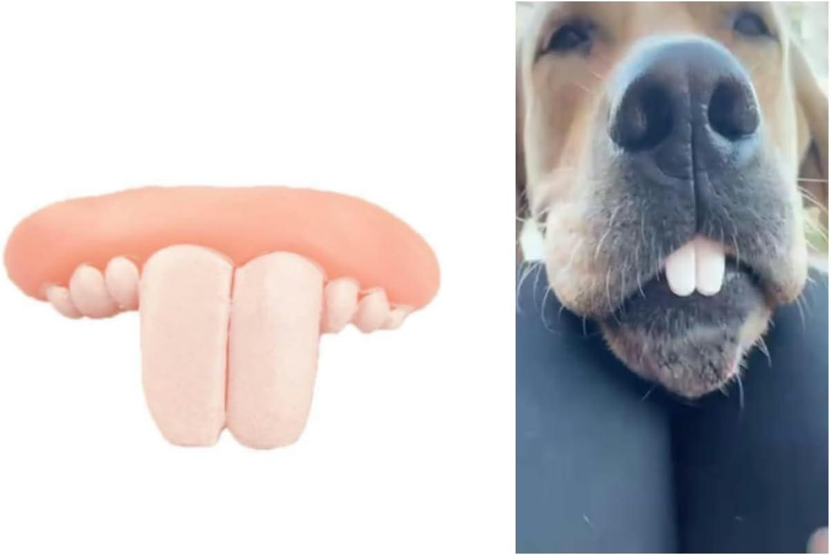 DPWOUM 1Pc White Fake Teeth Fake Teeth for Dogs,Dog Toys,Funny Dog Teeth Braces, Dog Christmas Costume Suitable Dog Chew Toys Pet Supplies image number 1