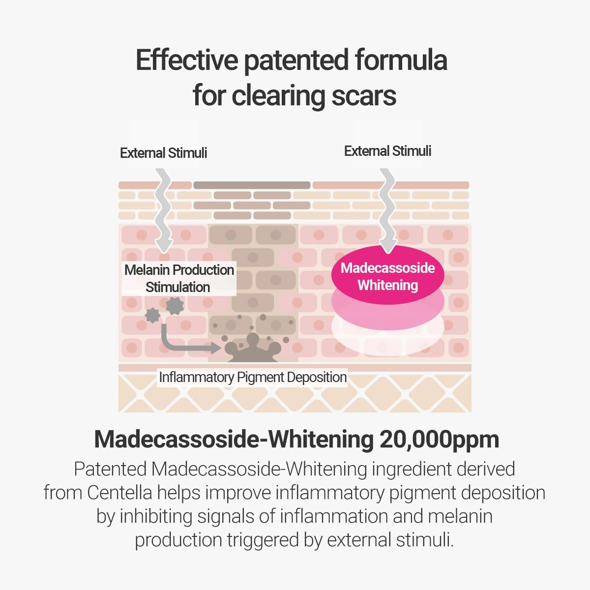 ROVECTIN Cica Care Clearing Ampoule for Soothing and Sensitive Care for Ance, Blemish, Redness with Calamine, Centella Asiatica and Damask Rose (1 Fl. Oz, 30Ml) image number 1