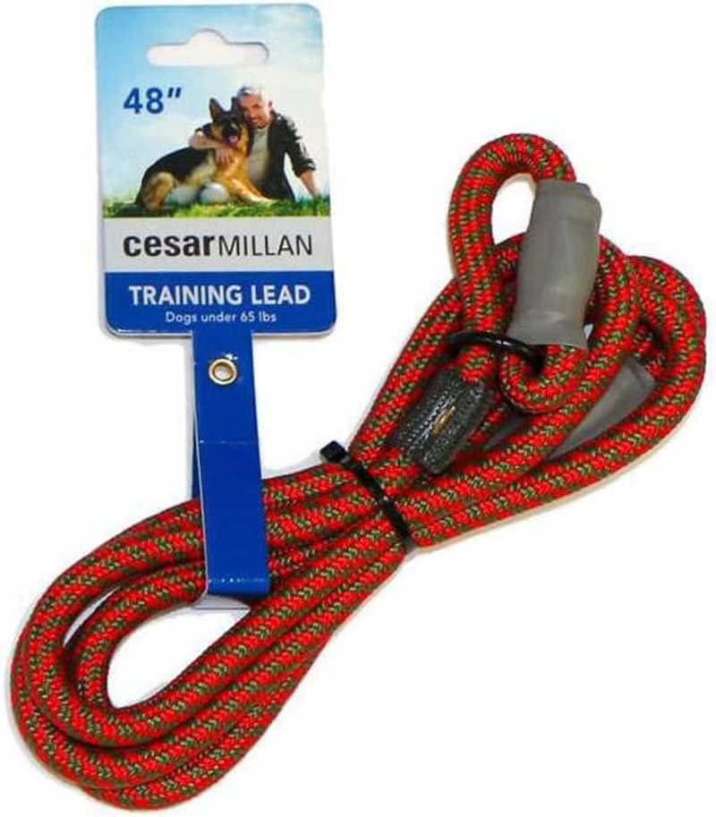 Cesar Millan Slip Lead Leash&trade; - Slip Collar Training Lead Gives You Greater Control and the Ability to Make Quick and Gentle Corrections (Regular, Black)