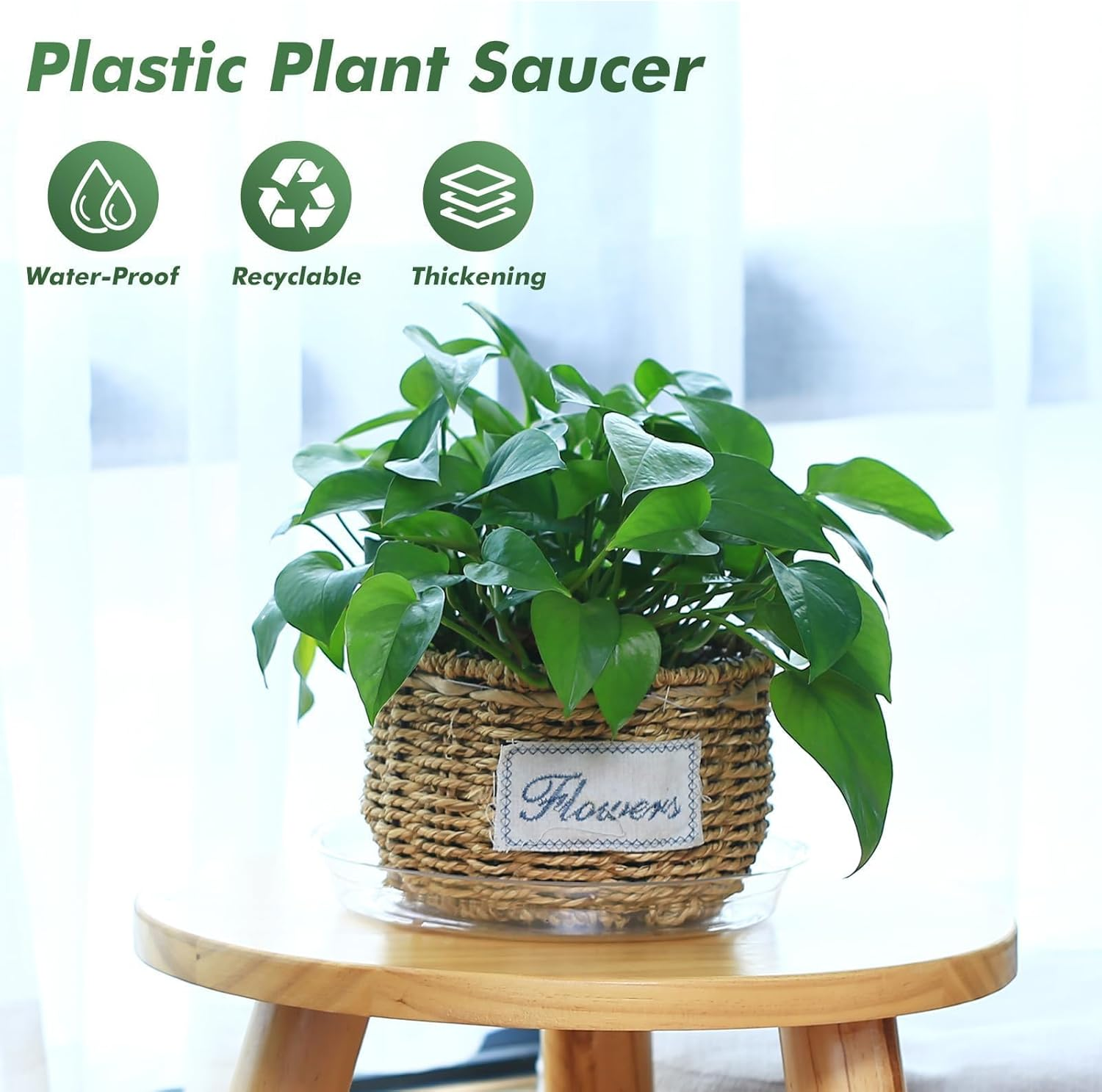 24 Pack, 15, 20, 25, 30 CM, Clear Plant Saucer Drip Trays, Plastic Plant Pot, Saucers Flower Pot Set, for Indoor Outdoor Garden, Assorted Sizes, 6 Pcs of Each Size, No Holes Plant Trays for Pots Bulk image number 5