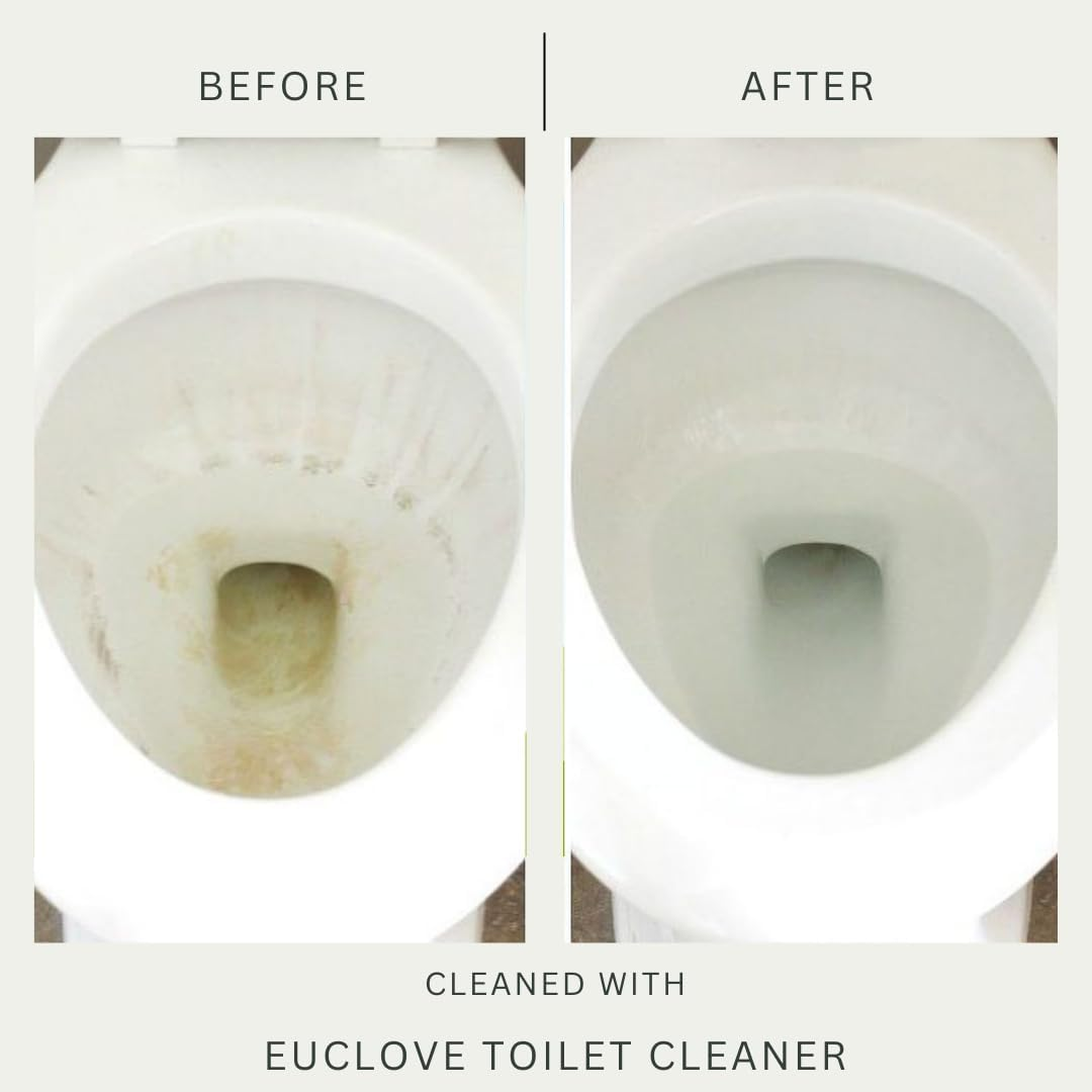 Euclove Natural Toilet Cleaner, 500 Ml image number 1