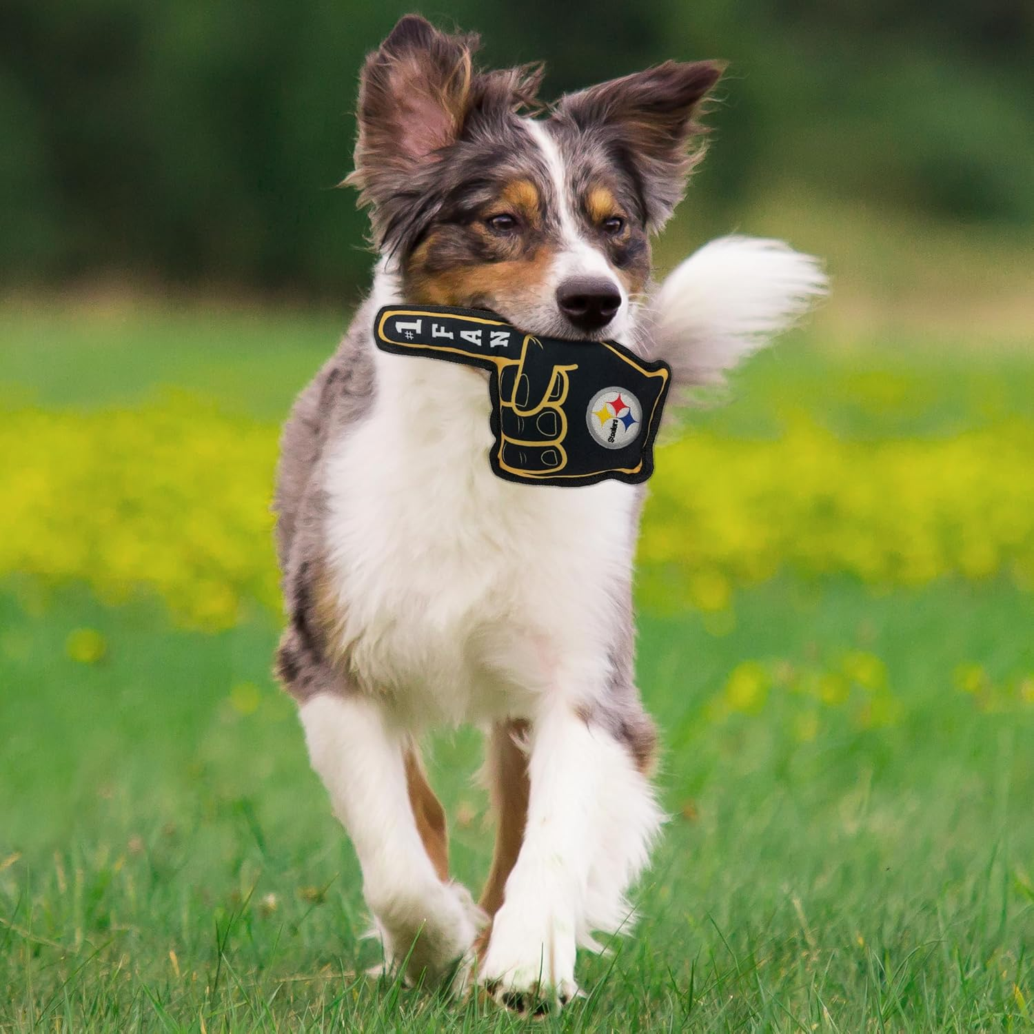 Pets First Toy for Dogs & Cats. Best Tough PET Toy with Inner Squeaker. image number 3