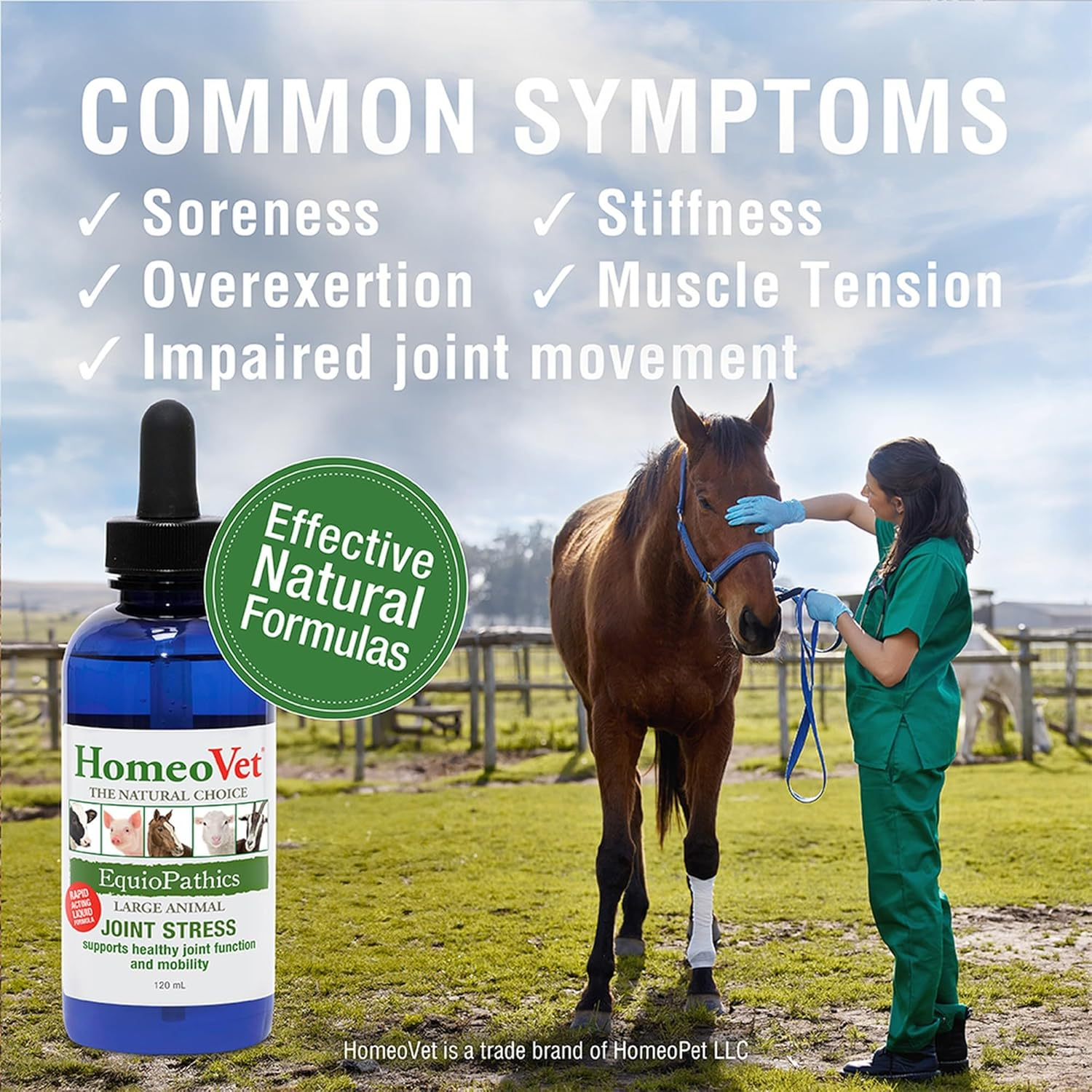 Homeovet Equine Joint Stress 120 Ml - a Natural Joint Relief for Horses to Care for Equine Mobility. Support and Supplement for Horse Joint Health, Reduce Stiffness, Enhance Flexibility and Movement image number 4