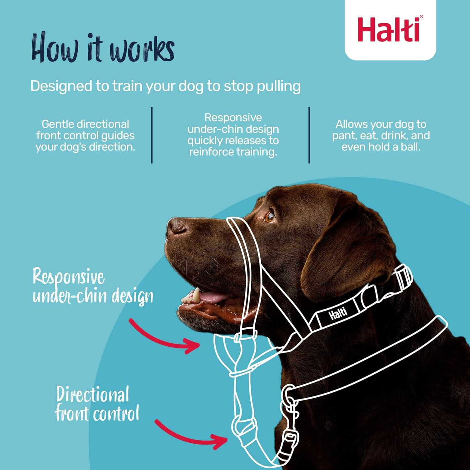 Halti Dog Training Headcollar, Red image number 2
