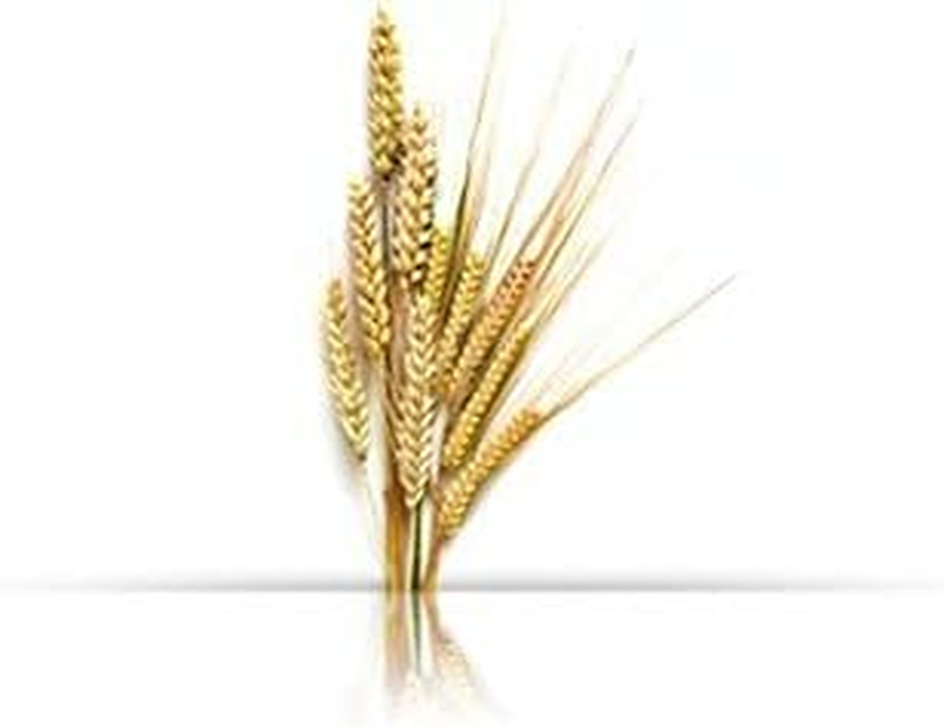 Natur Vital Colour Hair Mask - Mahogany Hair - 300Ml