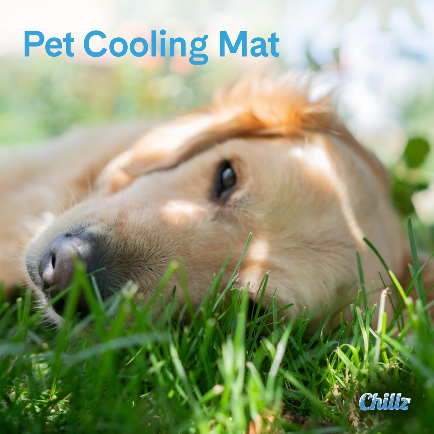 Chillz Cooling Mat for Dogs, Extra Large - Pressure Activated Gel Dog Cooling Mat - No Need to Freeze or Refrigerate This Cool Pet Pad - Keep Your Pet Cool, Use Indoors, Outdoors or in the Car image number 5