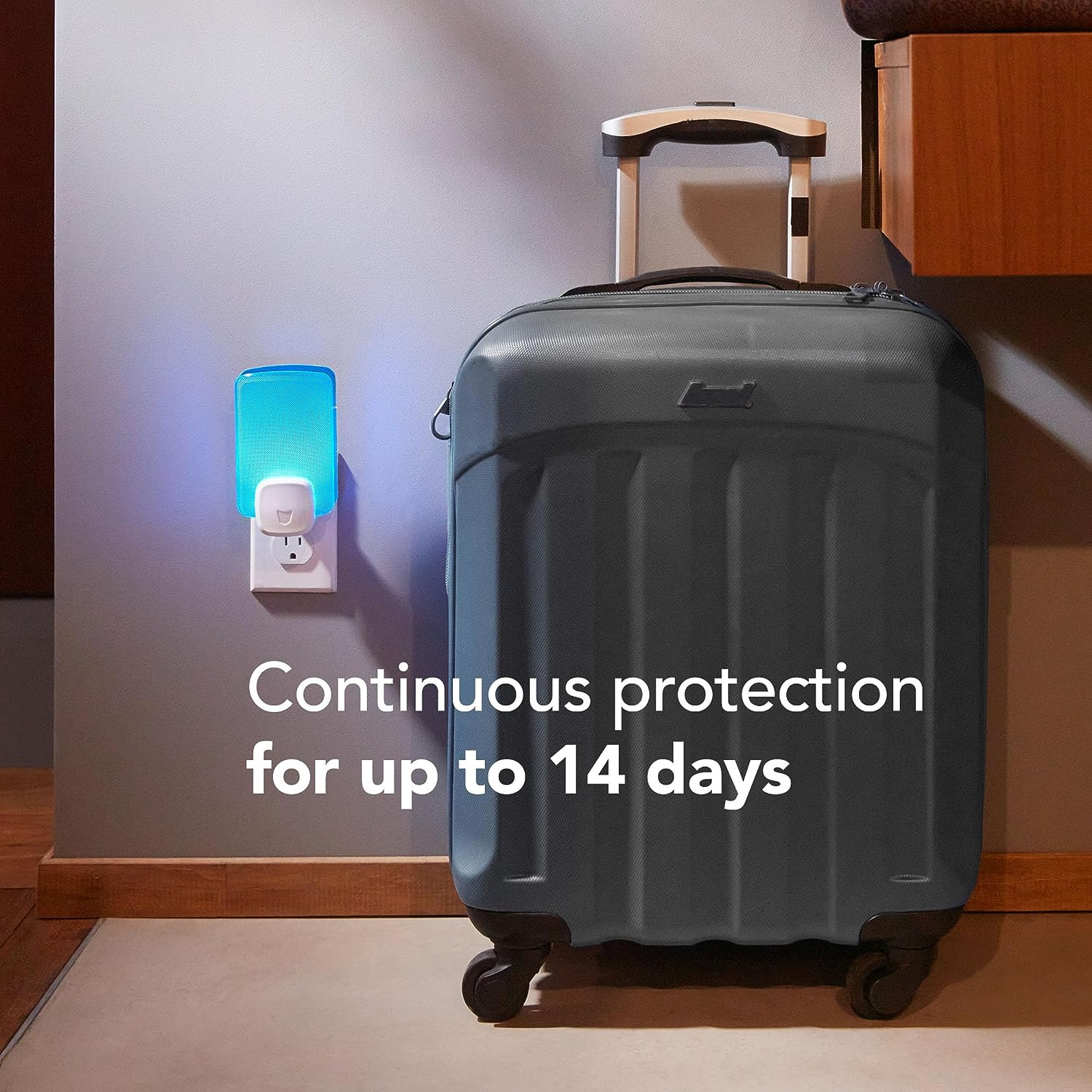 Raid Light Trap Refill Pack, 3 Refill Cards, Chemical Insectide Free and Pet Friendly image number 5