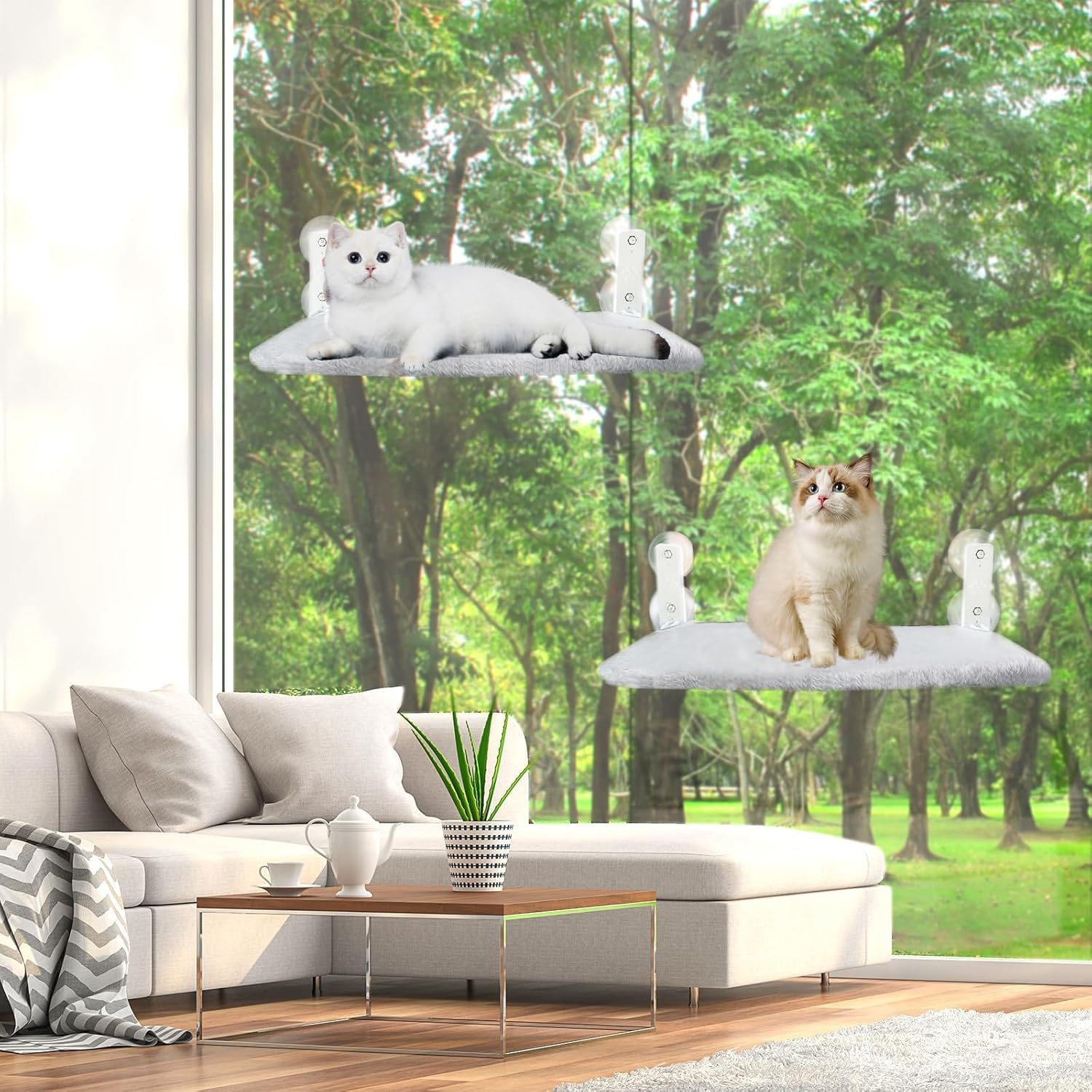 Foldable Cat Window Bed, Soft Cat Window Perch with Strong Suction Cups, 52X30Cm Cat Windowsill Seat with Replaceable Soft Cushion, Sturdy Holds up to 20Kg (Grey & Plush Fabric) image number 4