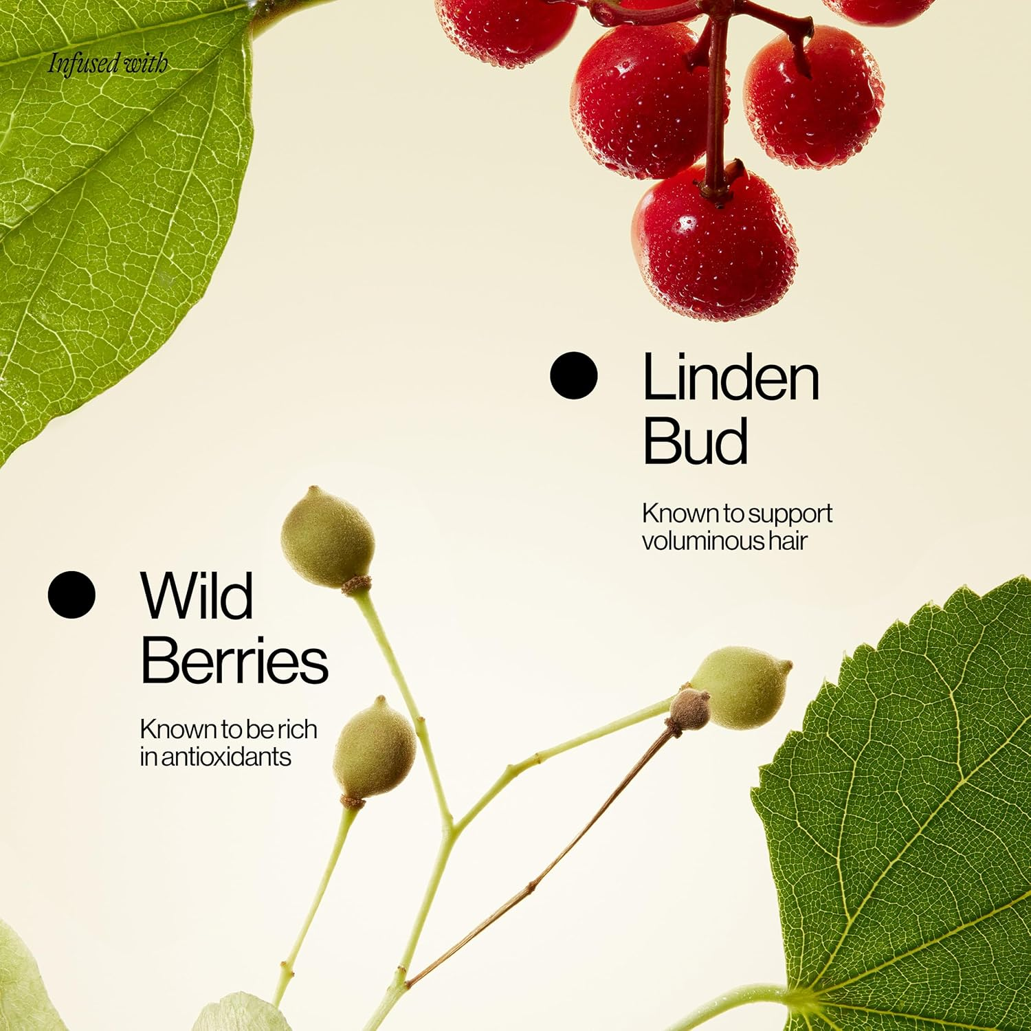 Eva NYC Lift off Volumizing + Thickening Hair Mist, Volumizing Spray for Fine Hair, 5.4 Fl Oz image number 4