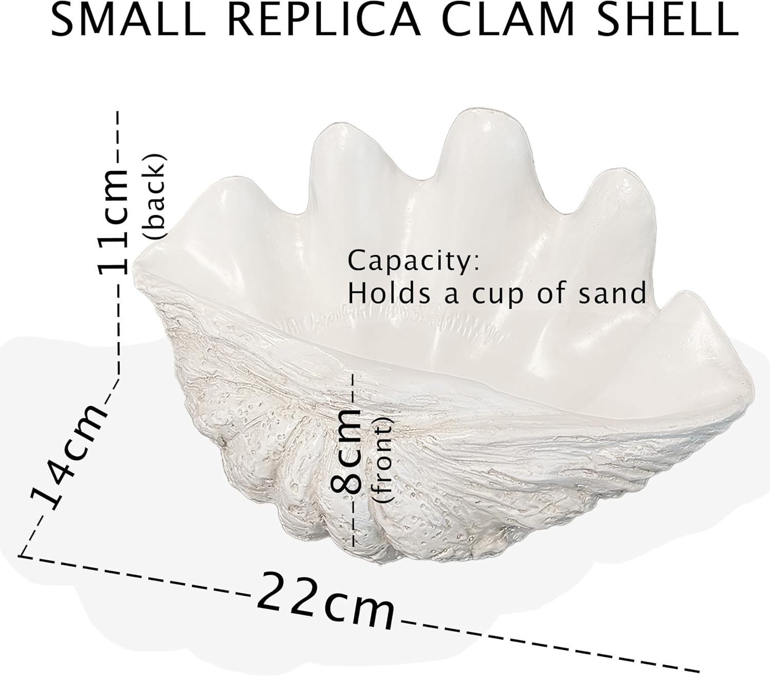 Small Clam Shell Sculpture Replica, 22Cm L X 14Cm W X 11Cm H, Handcrafted White Resin Seashell for Coastal Home D&eacute;cor, or Trinket Dish for Jewelry, or Keys White