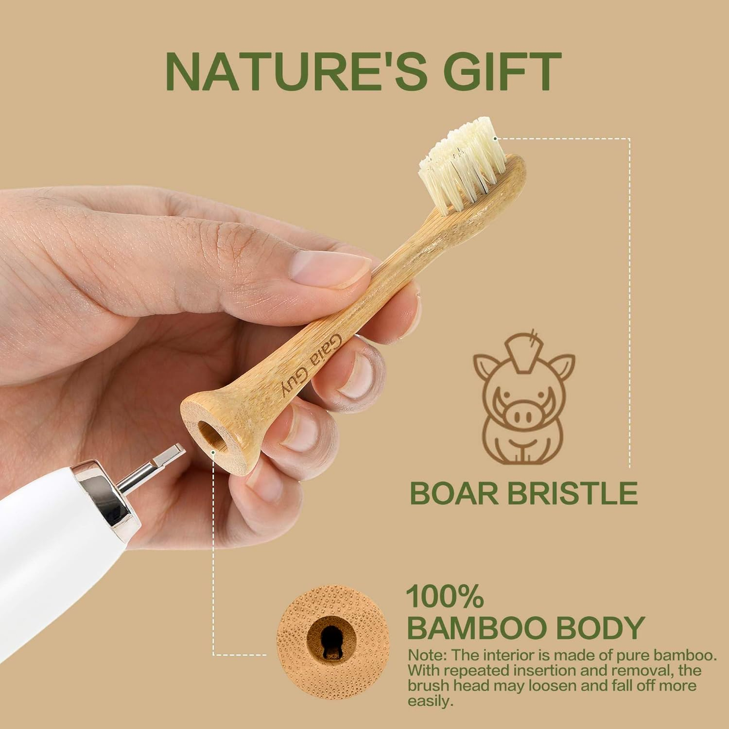 Gaia Guy Natural Bamboo & Boar Bristle Electric Toothbrush Head 4-Pack | Compatible with Philips Sonicare | Truly Biodegradable (No Hidden PLA & No Nylon) for an Eco-Friendly Clean image number 4