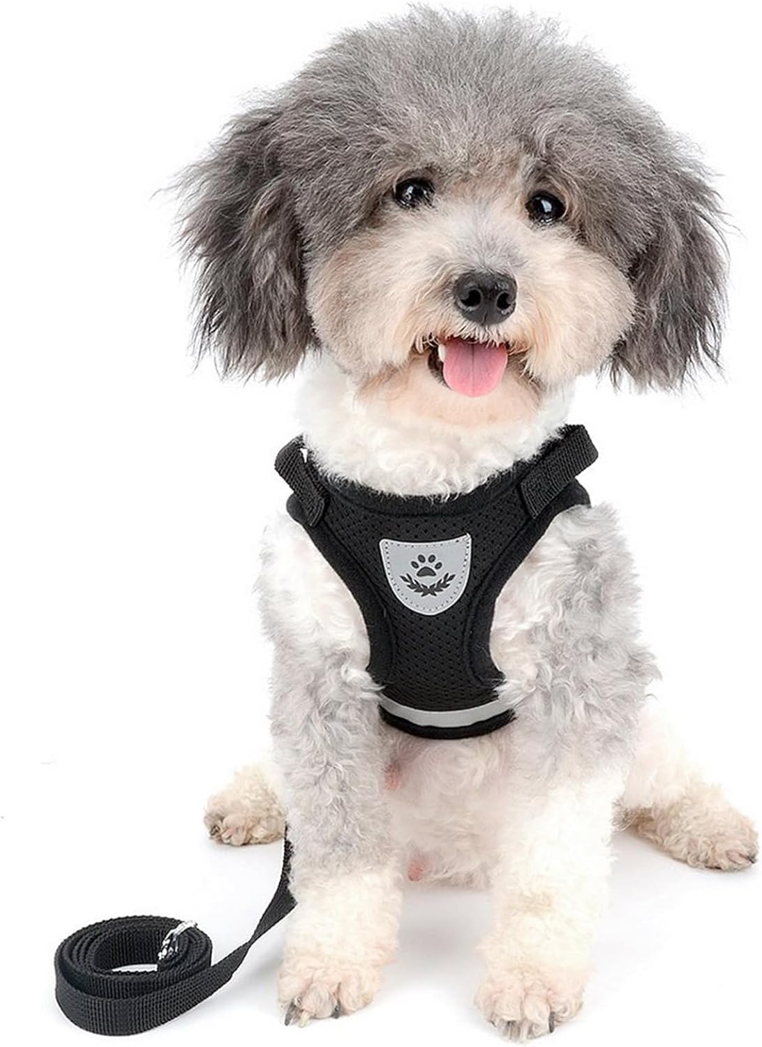 AYEHIOJU Anti-Escape Cat Harness and Leash Set Small, Adjustable Soft Mesh Reflective Vest Harness for Cats, Kittens, Puppies, Small Dogs and Rabbits, Black image number 2