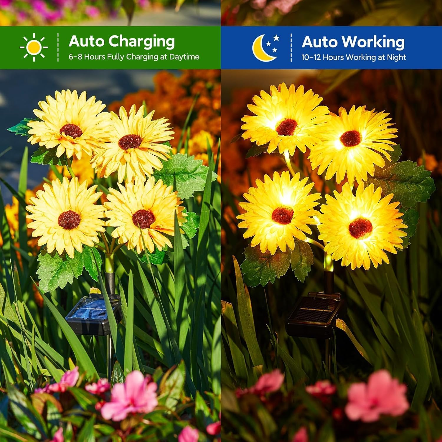 4Pack Solar Daisy Lights, Upgraded Outdoor Garden Decor, 16 Glowing Daisy Flowers & Stems, Waterproof Auto On/Off Solar Flowers Light for outside Garden Yard Patio, Multicolour image number 1