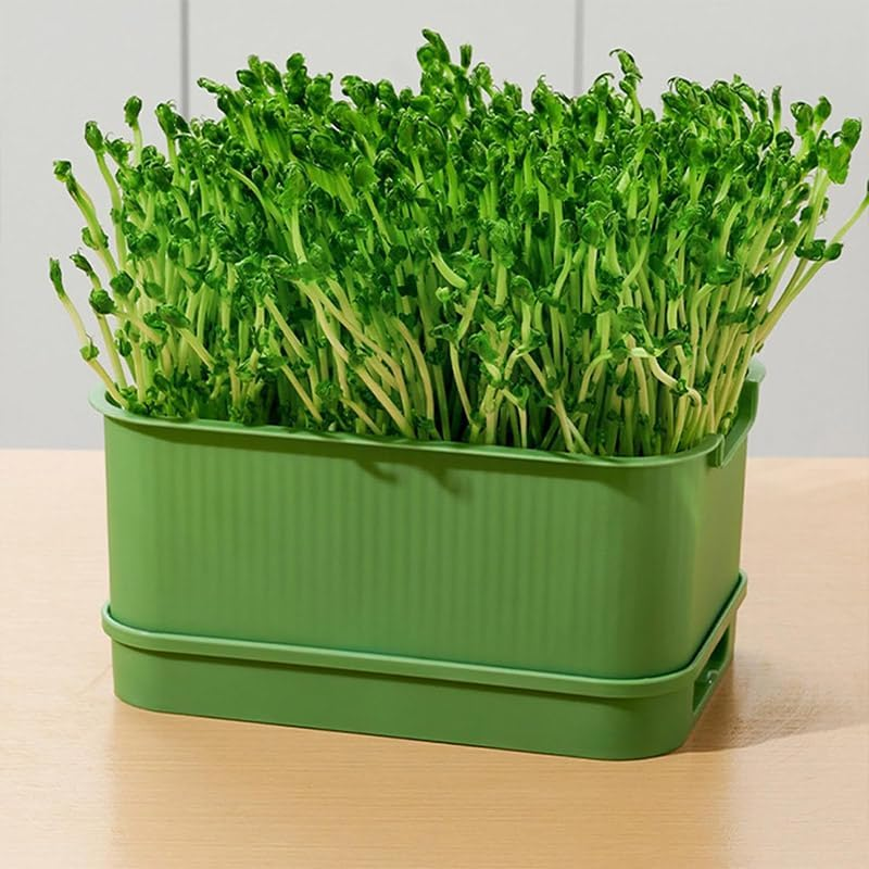 AIMALL Soilless Hydroponic Seedling Tray &ndash; Self-Watering Sprout Tray for Indoor Herb & Vegetable Planting, Double-Layer Design with Visible Water Reservoir