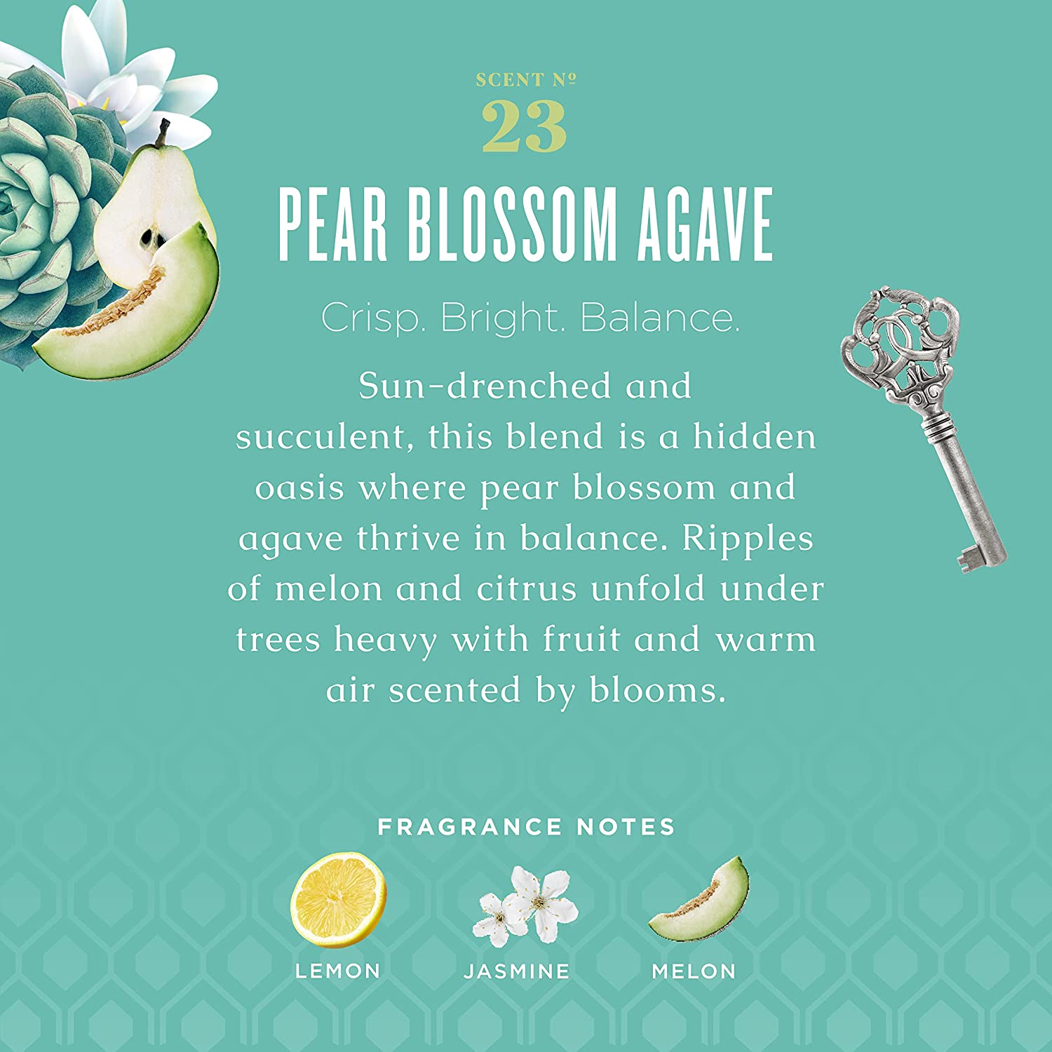 Caldrea Hand Wash Soap, Aloe Vera Gel, Olive Oil and Essential Oils to Cleanse and Condition, Pear Blossom Agave, 10.8 Oz, 2 Pack