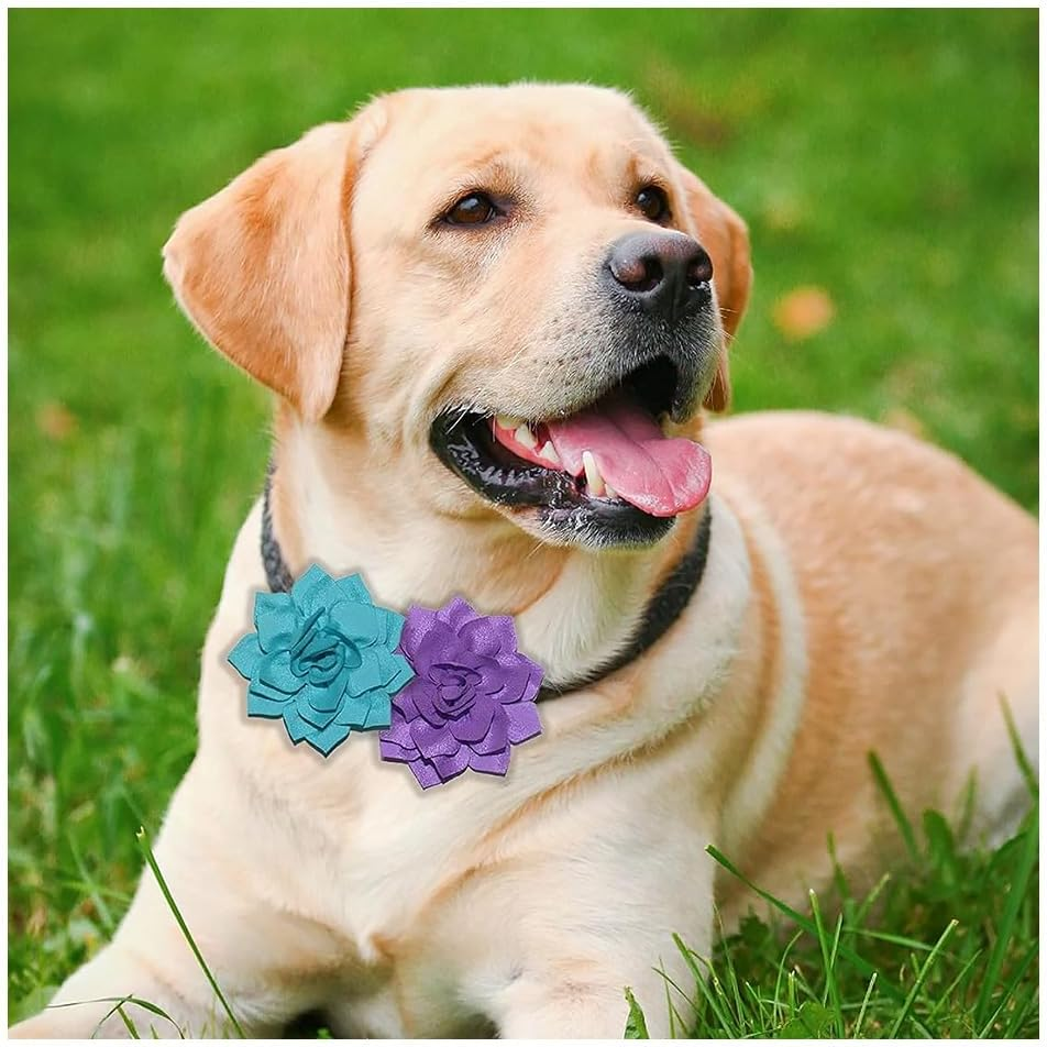 20 Colors Dog Collar Bows Flowers Multi Color Accessory Pet Bow Ties Flower Collars Multicolored for Dogs Grooming Cat Puppy Collar Grooming Accessories, Chiffon Fabric image number 3