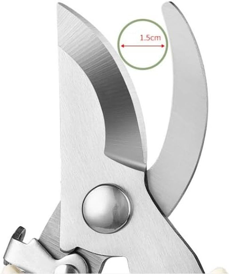 AUPOINT 2-Piece Stainless Steel Pruning Shears Set, Spring-Loaded, 1 Straight and 1 Curved image number 6
