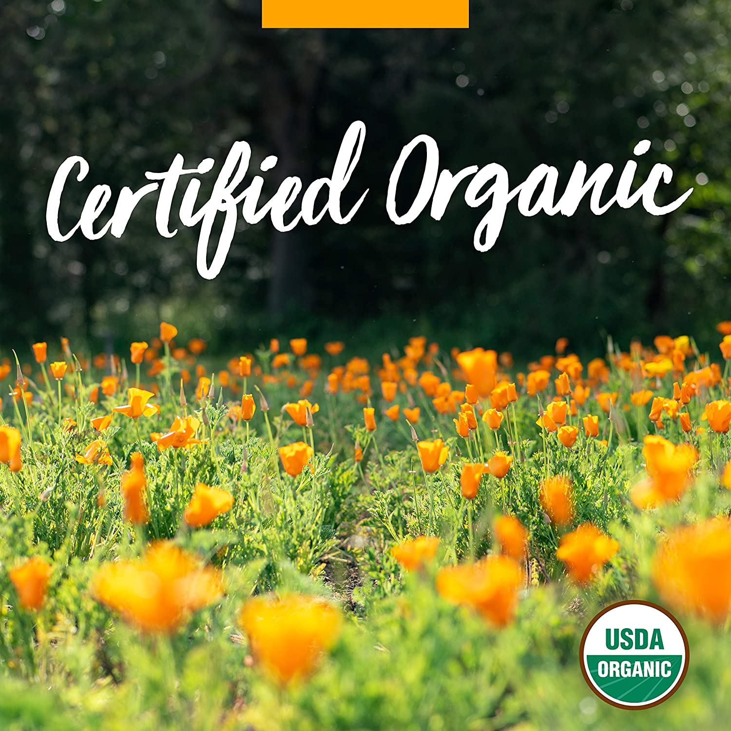 Herb Pharm Certified Organic Calendula Oil - 1 Ounce image number 2