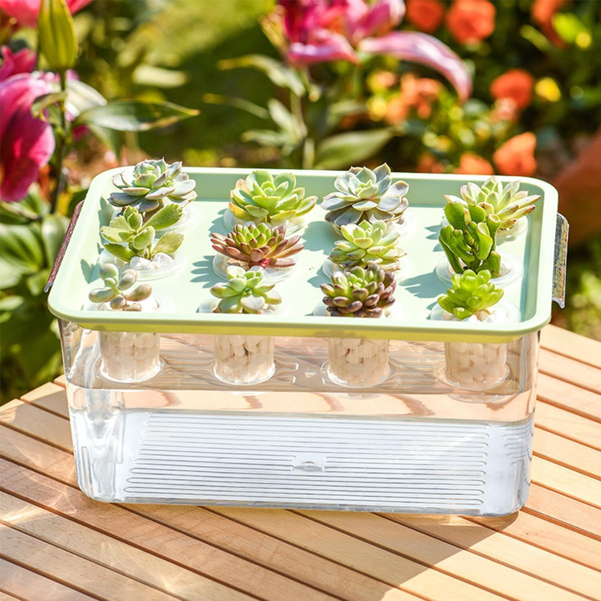 Transparent Plastic Rectangular Hydroponic Planter Box with Twelve-Hole Cover, Portable Micro Landscape Plant and Fish Tank, Ideal for Living Room Desktop Decoration, Durable Material - Green image number 5