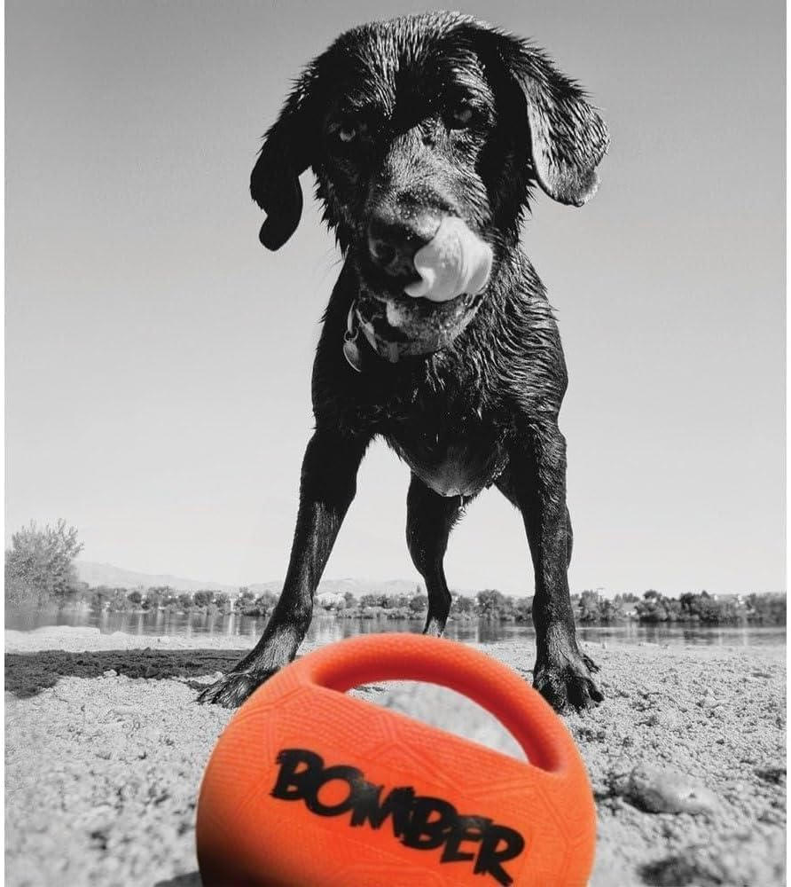Zeus Mini Bomber Ball Dog Toy, 11.4 Cm image number 1