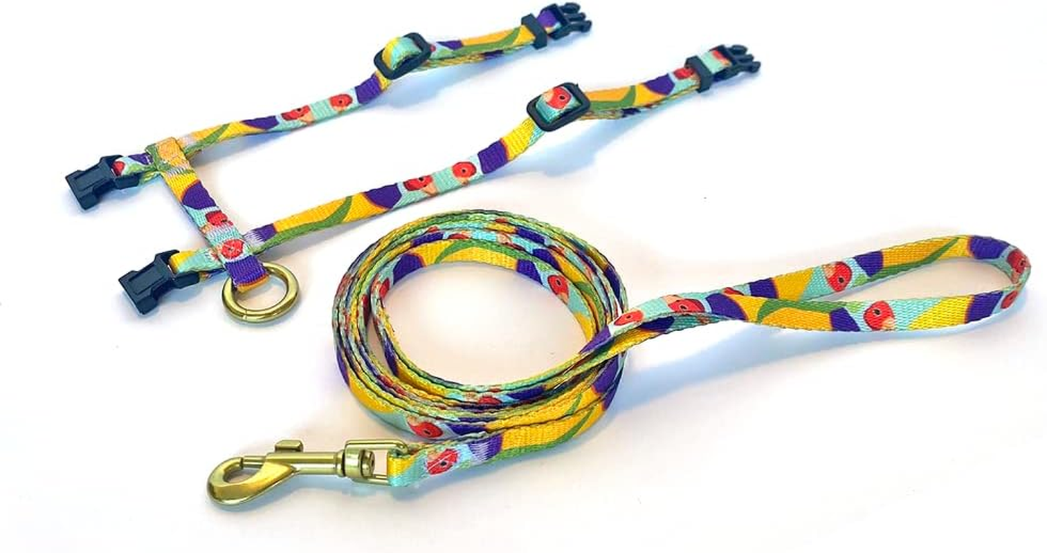 Anipal Gigi the Gouldian Finch Cat Harness & Lead - S - Environmental Friendly