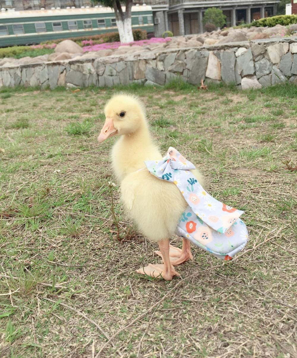 Poultry Diapers - Waterproof, Adjustable, Washable and Reusable for Chicken, Duck and Goose - Poultry Supplies (9Xl:4000G-5000G) image number 2