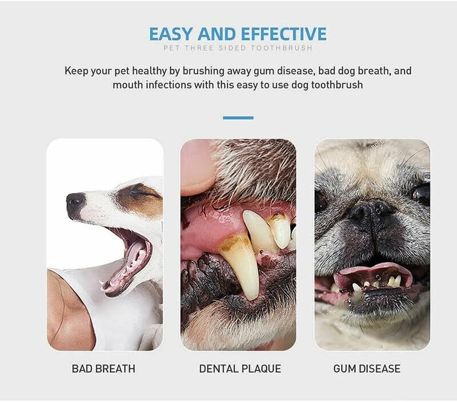 Dog Toothbrush Multi-Angle Three-Sided Pet Cat Mouth Oral Care Teeth Cleaning - Effective Oral Care and Teeth Cleaning - Care and Teeth Cleaning Ergonomic Design for Easy Use - Green image number 6