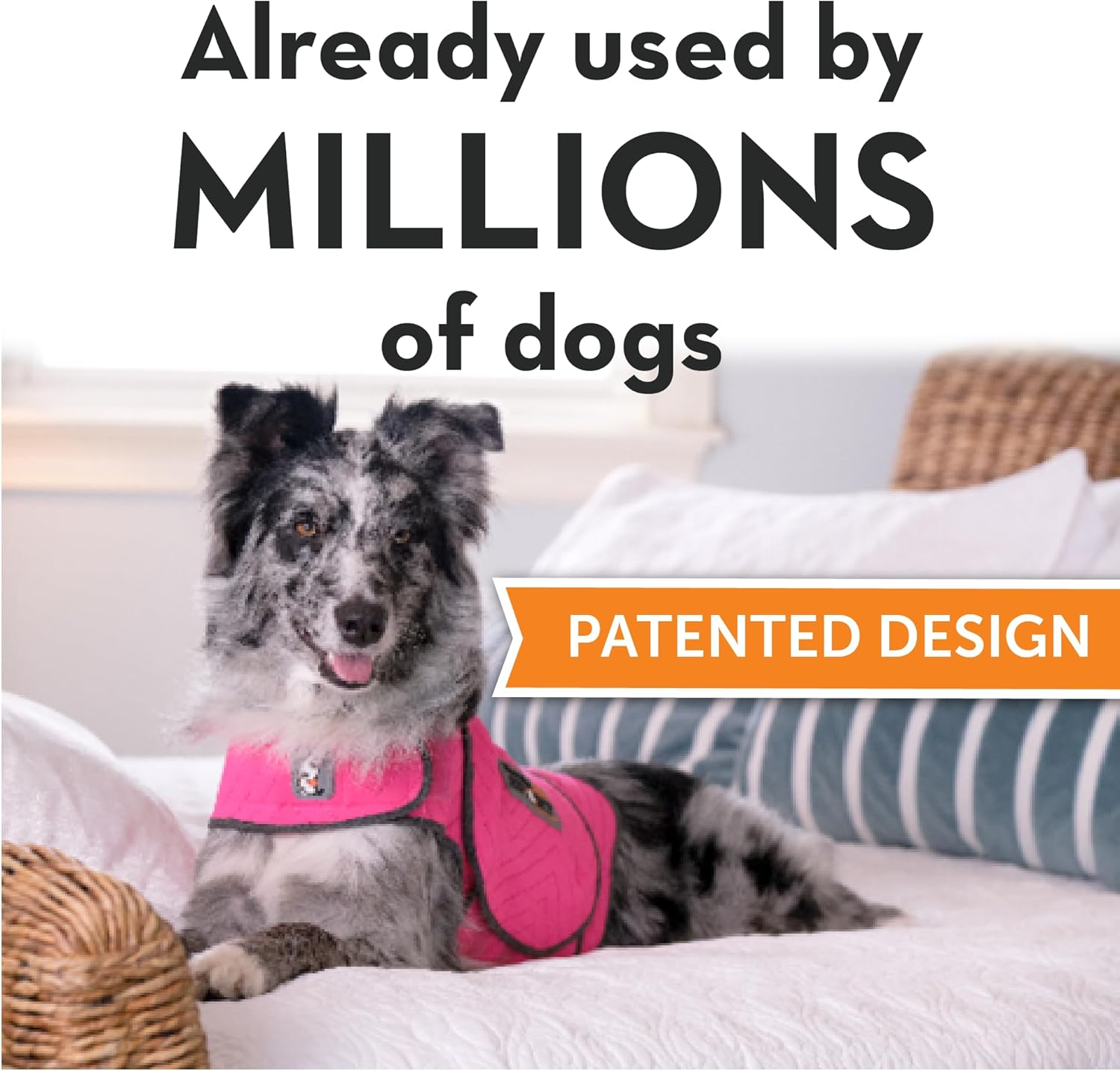 Thundershirt Dogs Clothing Thundershirt Dog Anxiety Jacket, Fuchsia, X-Small image number 4