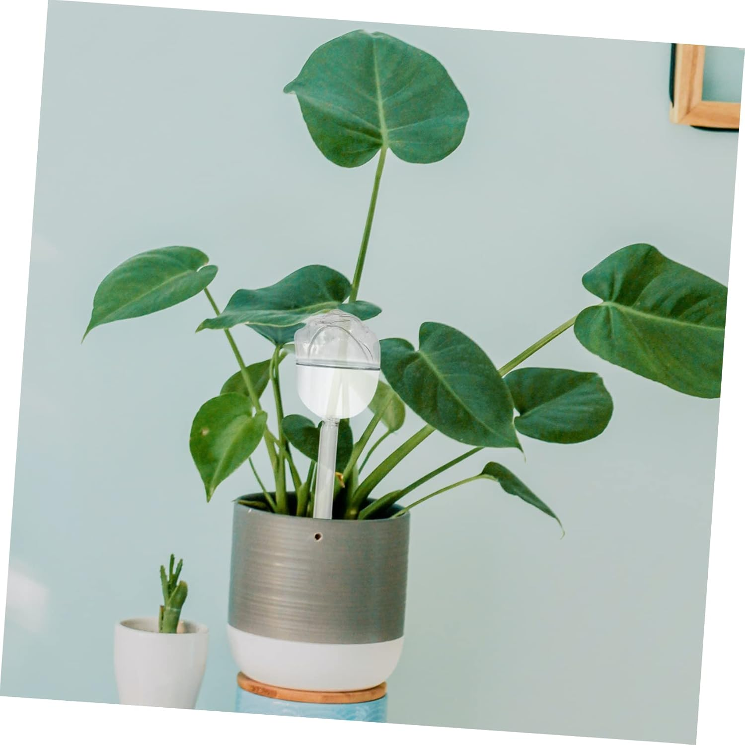 Yardwe Automatic Machine for Plants Glass Bulb Self- System for Indoor Plant Care image number 1