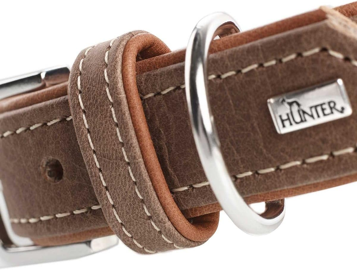 Hunter PORTO Dog Collar with Olive Leaf Tanned Premium Leather, Environmentally Friendly and Sustainable image number 4