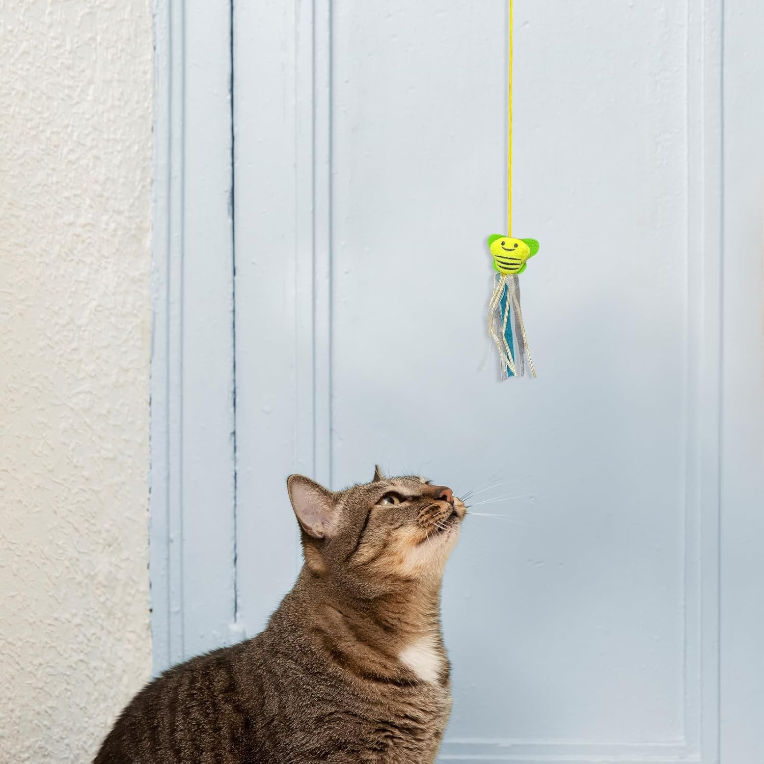 TEAONE Retractable Cat Toys, 4 PCS Hanging Cat Toy for Kittens and Puppies (4 Styles)