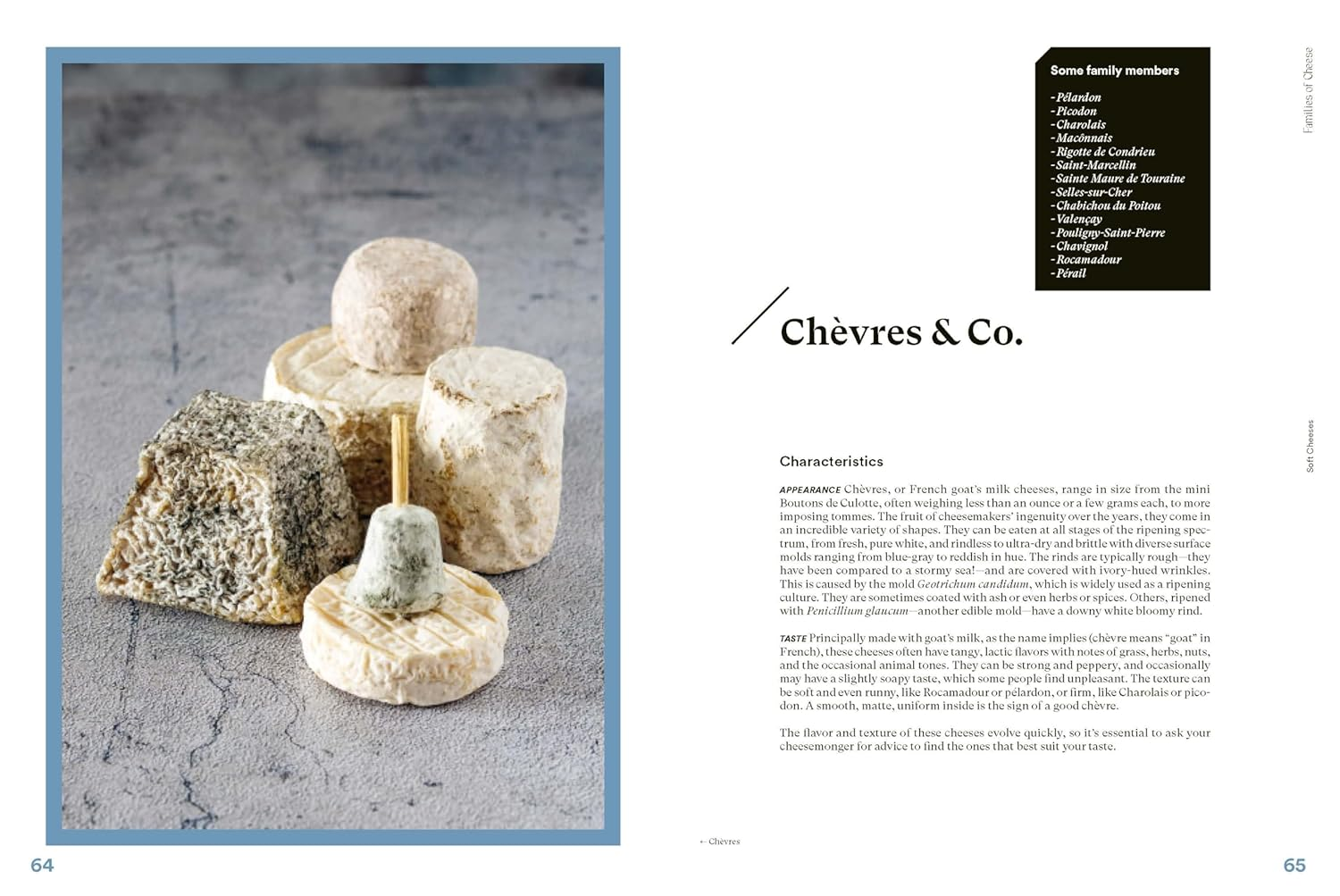 The Complete Book of Cheese: History, Techniques, Recipes, Tips image number 3