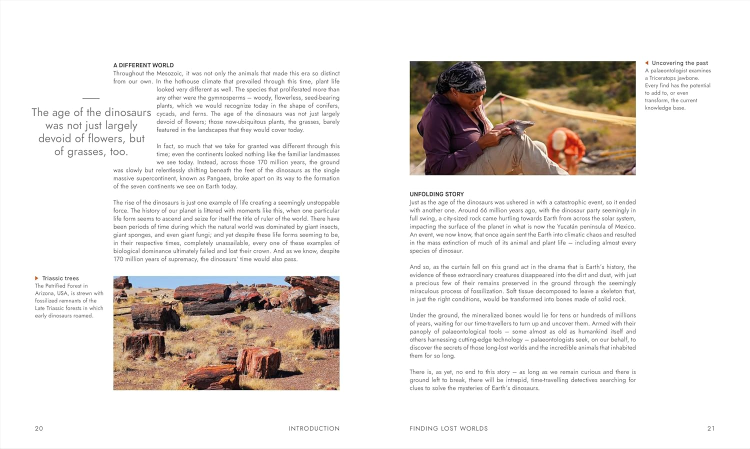 BBC Walking with Dinosaurs: Uncovering the Secret Stories of Prehistoric Life image number 2